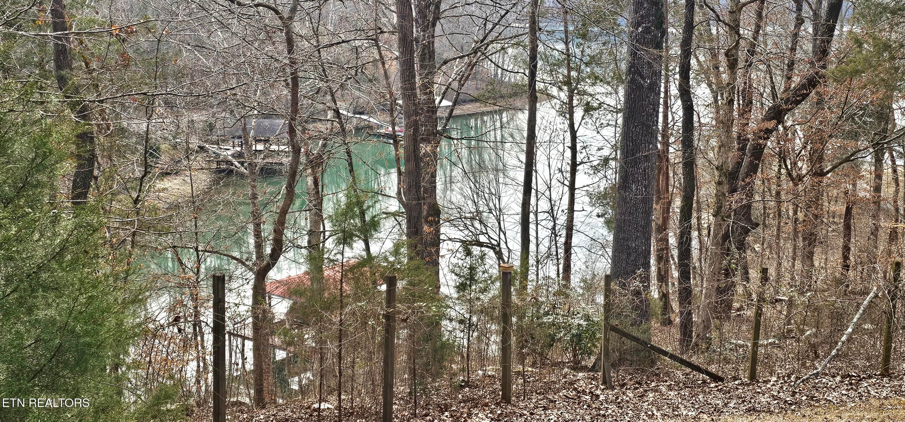 Lake View - 102 Curtis Circle, Kingston, TN 37763