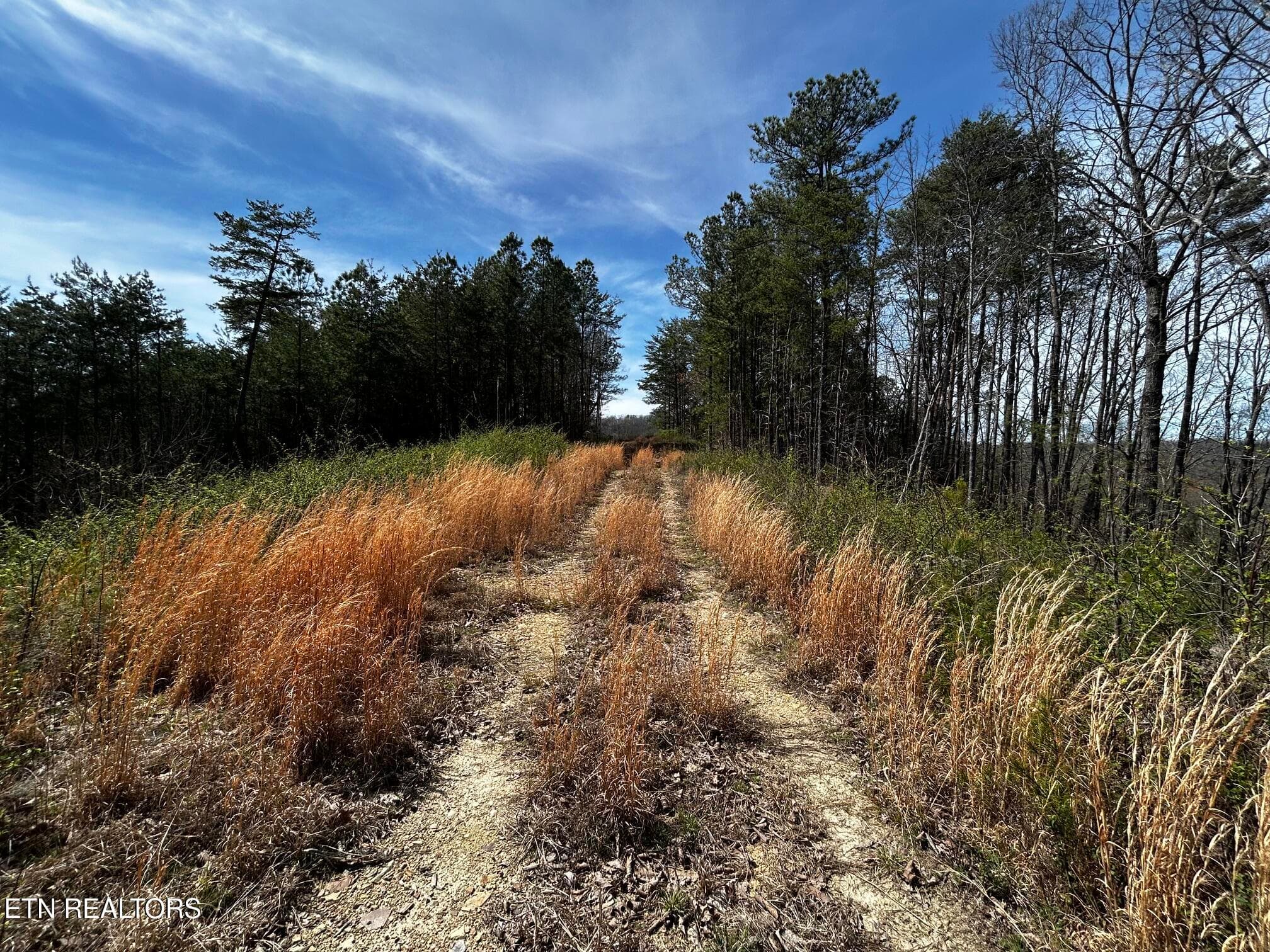 Tract 2 SW Owl Hollow, McDonald, TN 37353