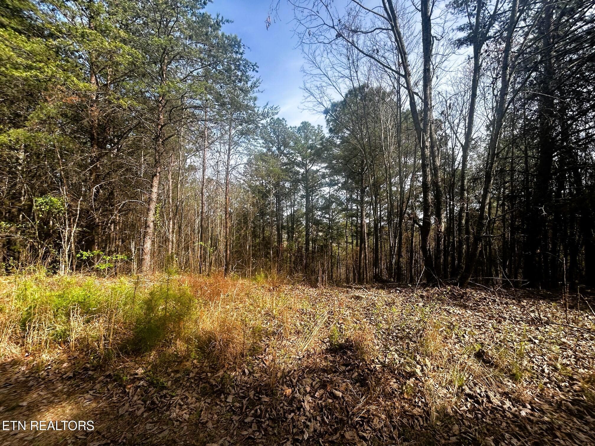 owl 6 build site - Tract 6 SW Owl Hollow, McDonald, TN 37353