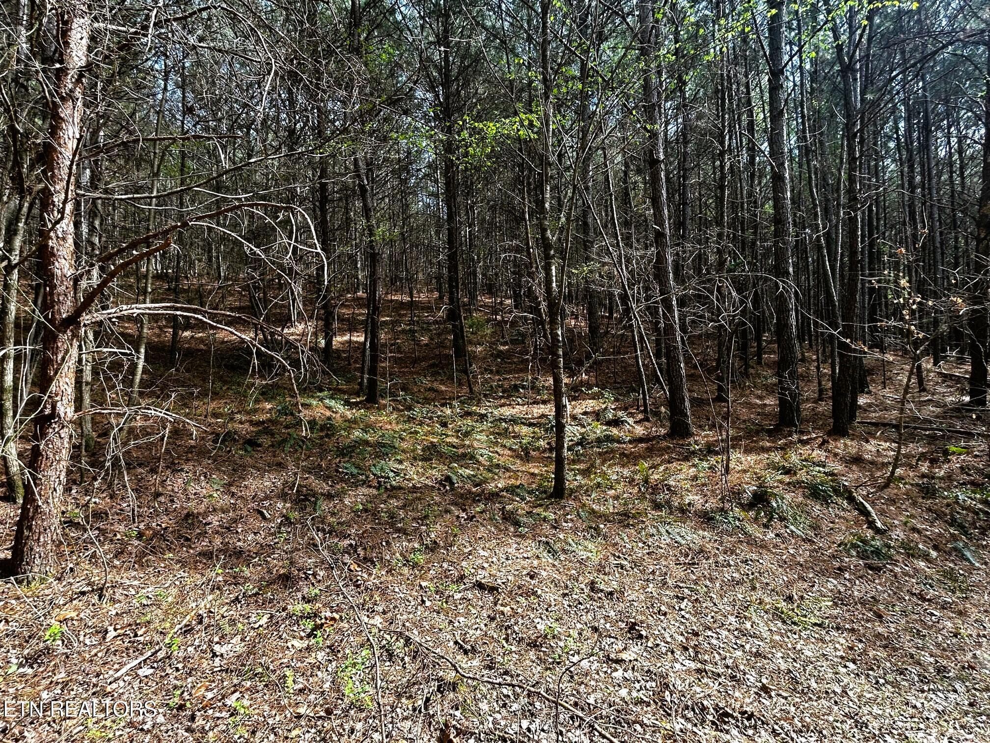 owl 7 1 - Tract 7 SW Owl Hollow, McDonald, TN 37353