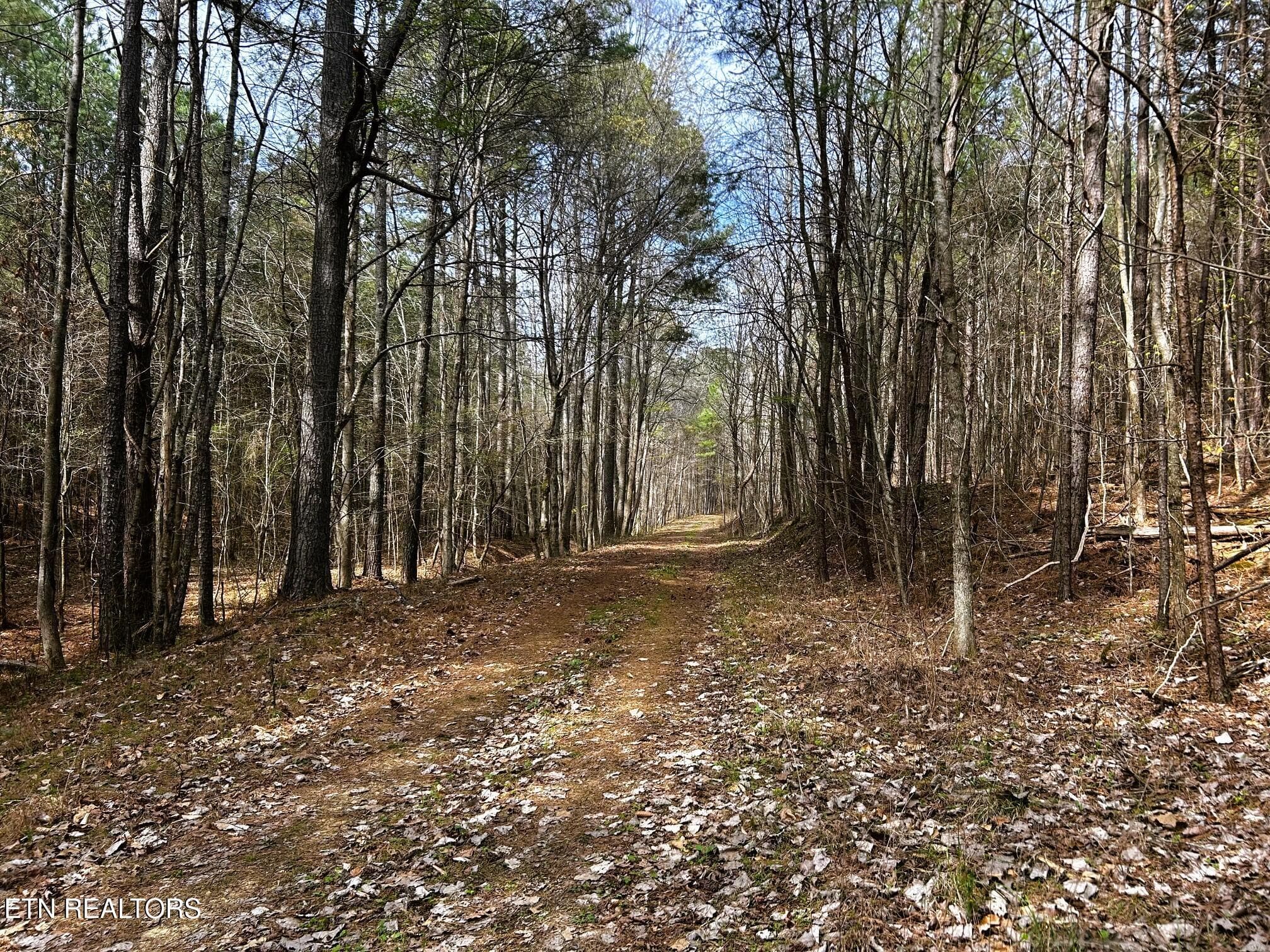 owl 7 10 - Tract 7 SW Owl Hollow, McDonald, TN 37353