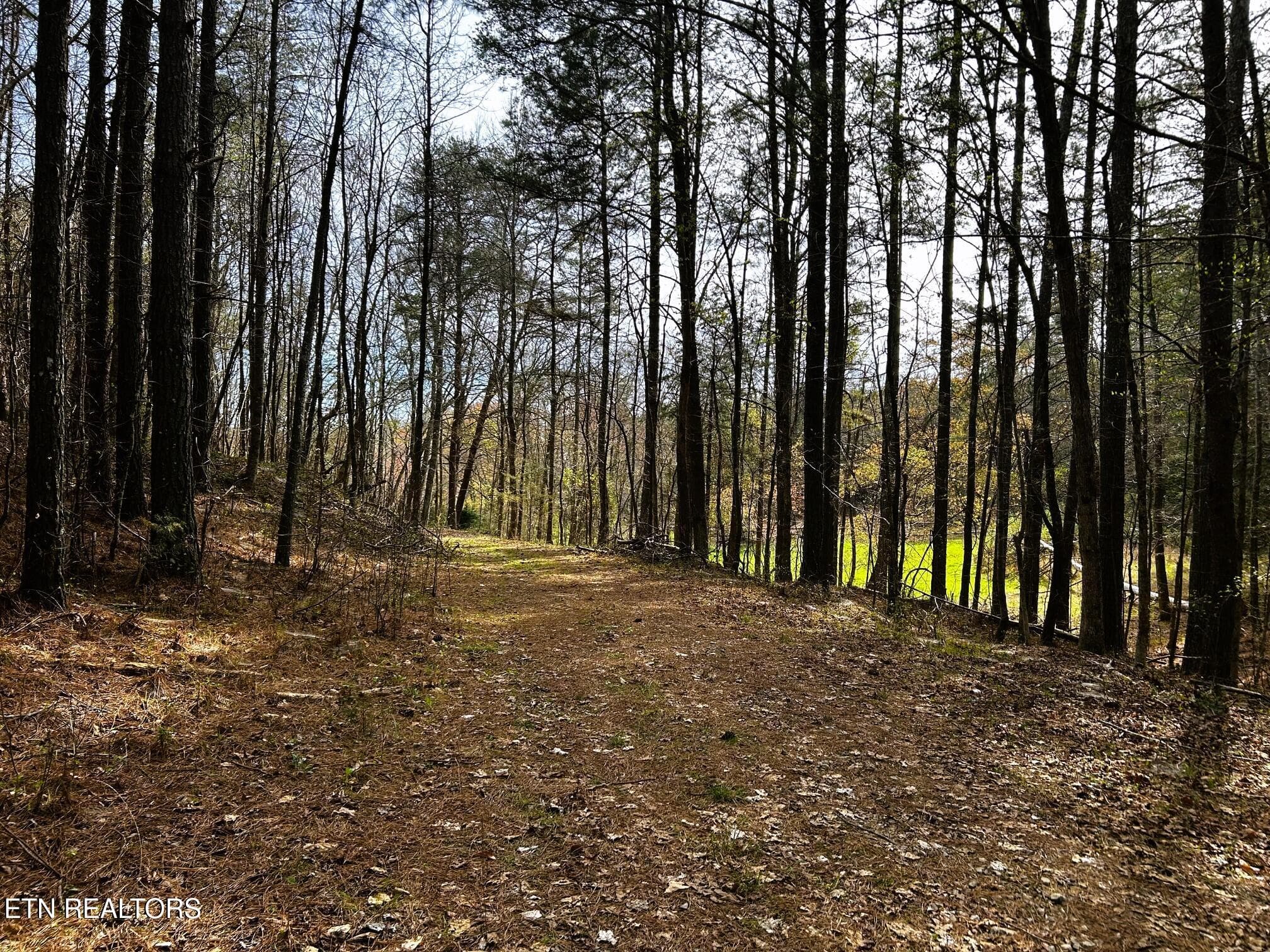 owl 7 11 - Tract 7 SW Owl Hollow, McDonald, TN 37353