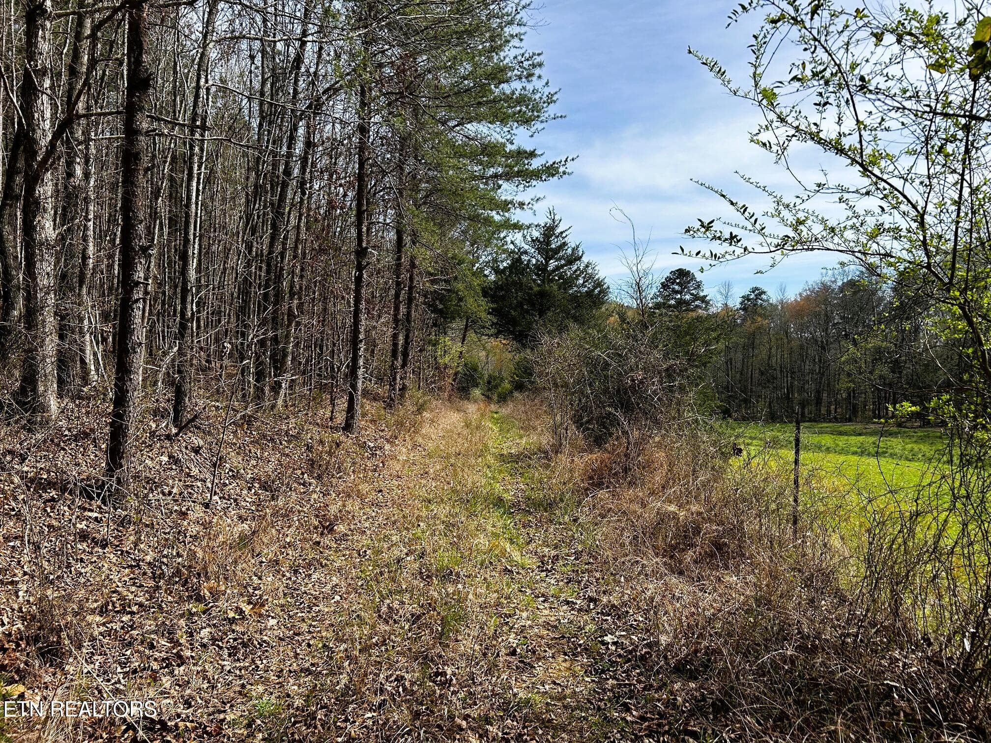 owl 7 13 - Tract 7 SW Owl Hollow, McDonald, TN 37353