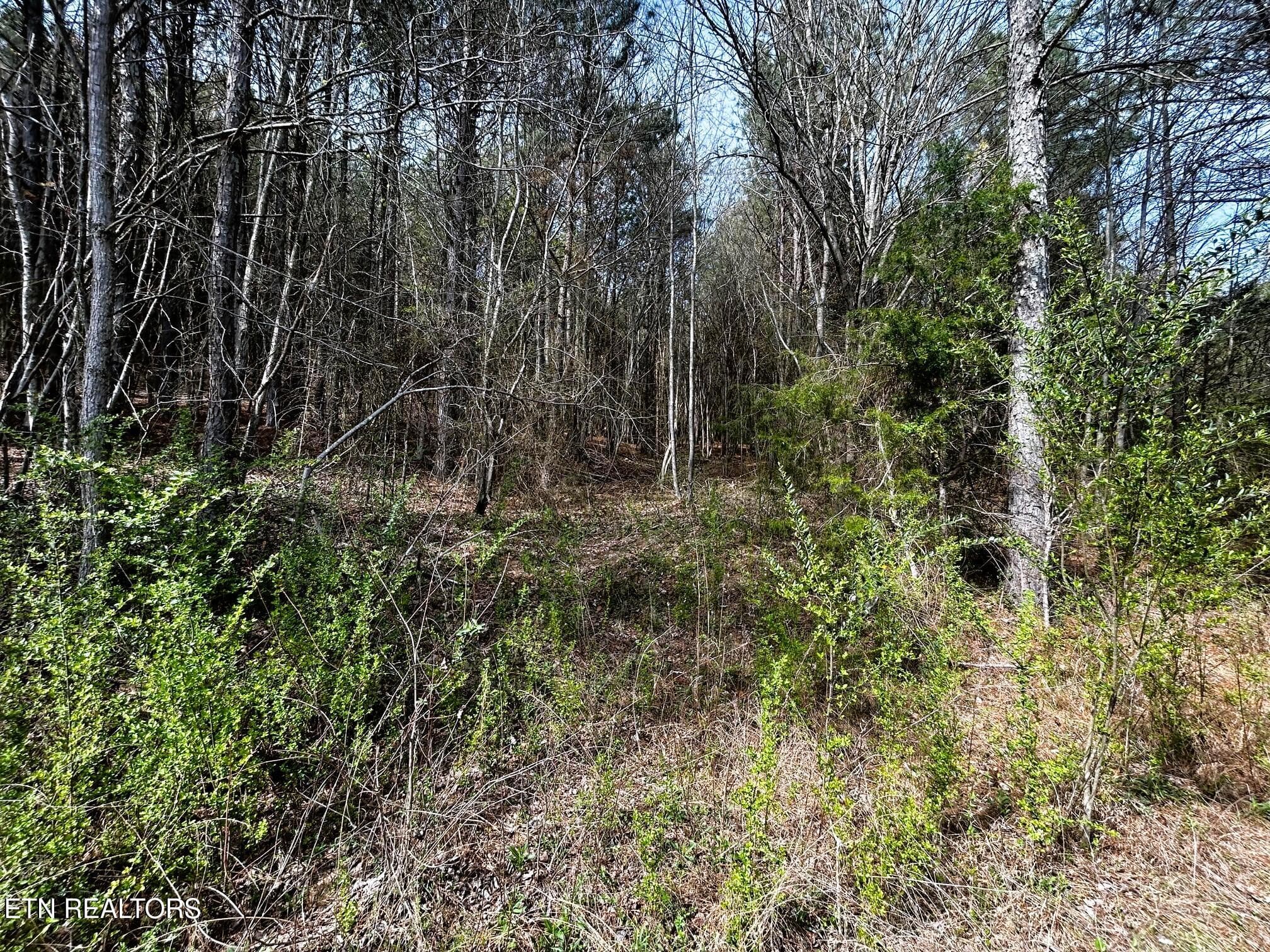 owl 7 15 - Tract 7 SW Owl Hollow, McDonald, TN 37353