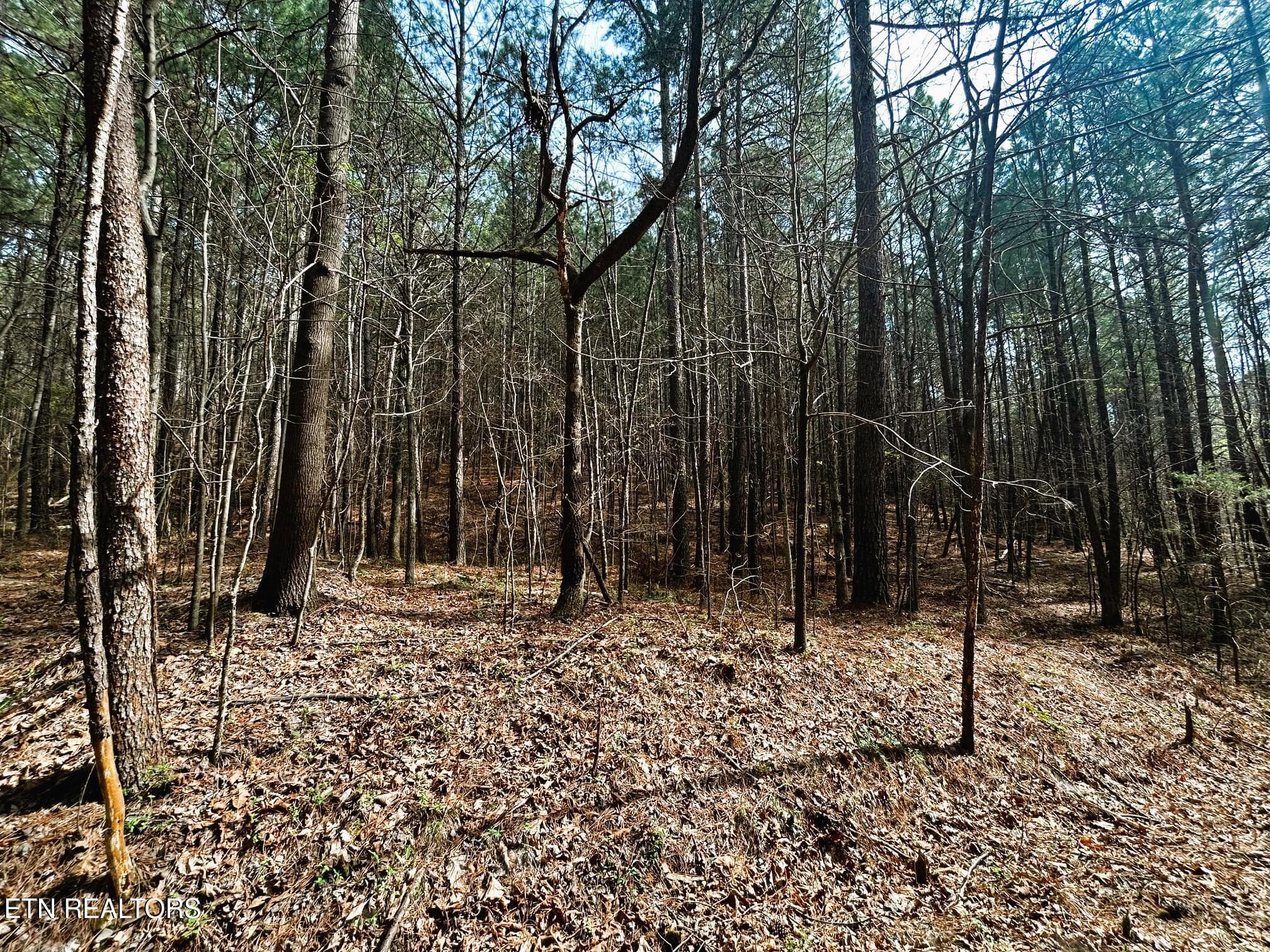 owl 7 5 - Tract 7 SW Owl Hollow, McDonald, TN 37353