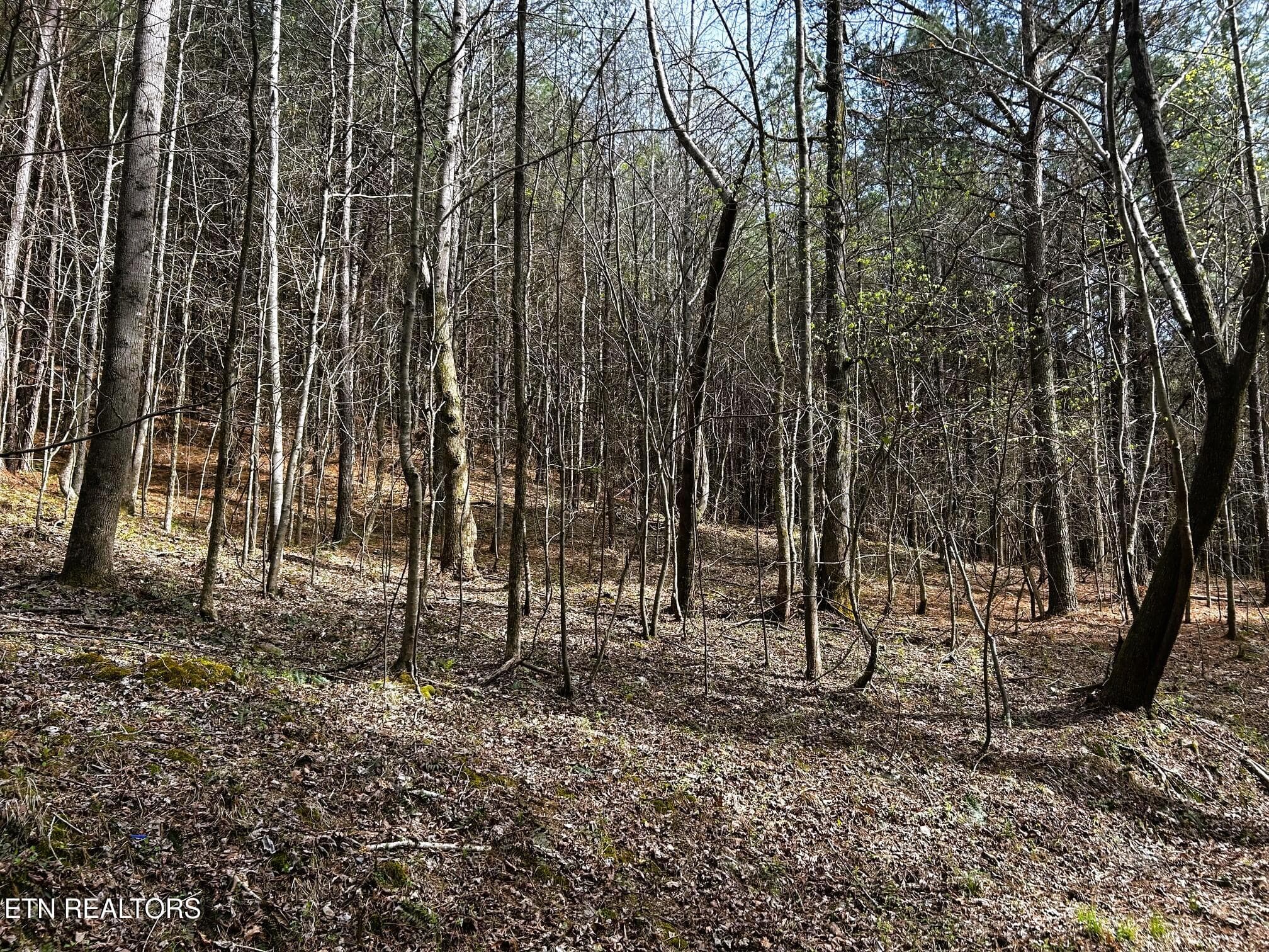 owl 7 7 - Tract 7 SW Owl Hollow, McDonald, TN 37353
