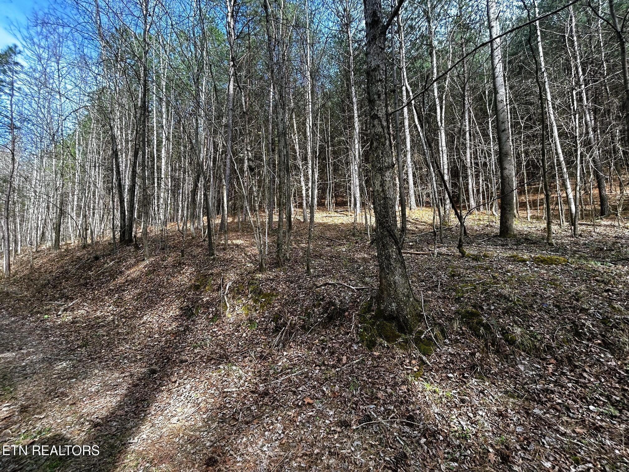 owl 7 8 - Tract 7 SW Owl Hollow, McDonald, TN 37353