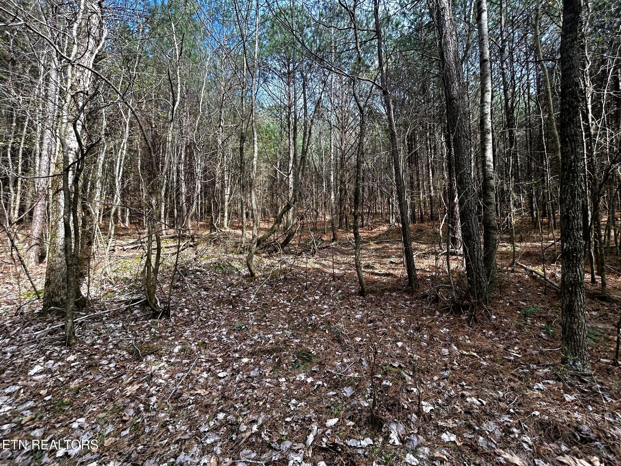 owl 7 9 - Tract 7 SW Owl Hollow, McDonald, TN 37353
