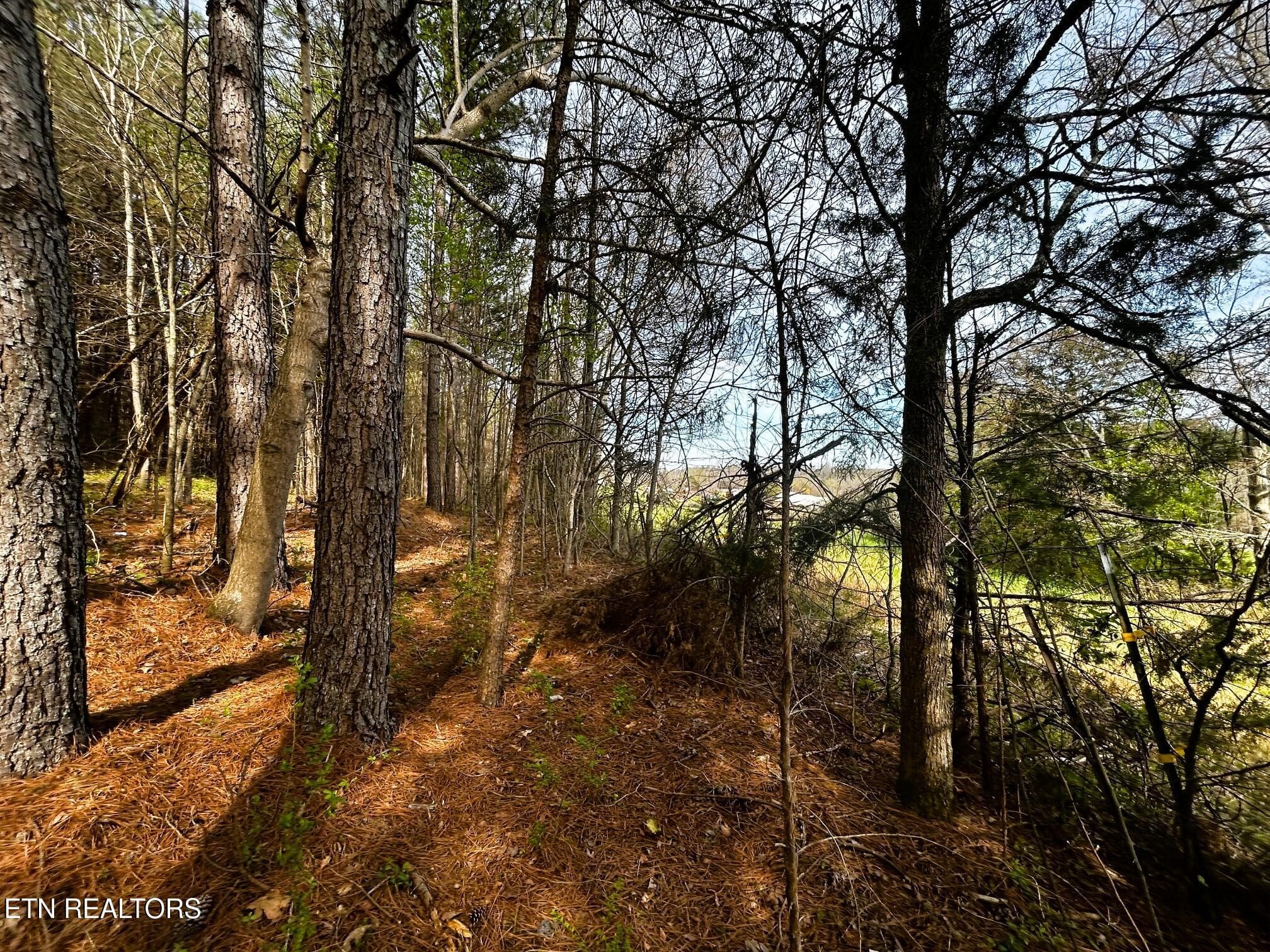 owl 7 backline 2 - Tract 7 SW Owl Hollow, McDonald, TN 37353