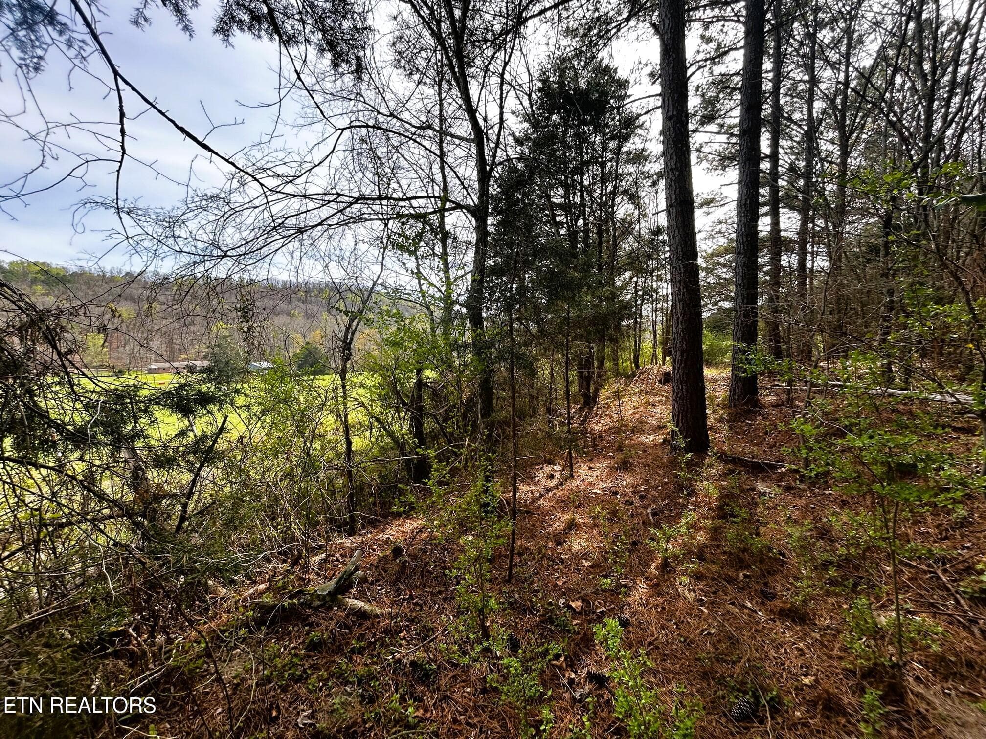 owl 7 backline - Tract 7 SW Owl Hollow, McDonald, TN 37353