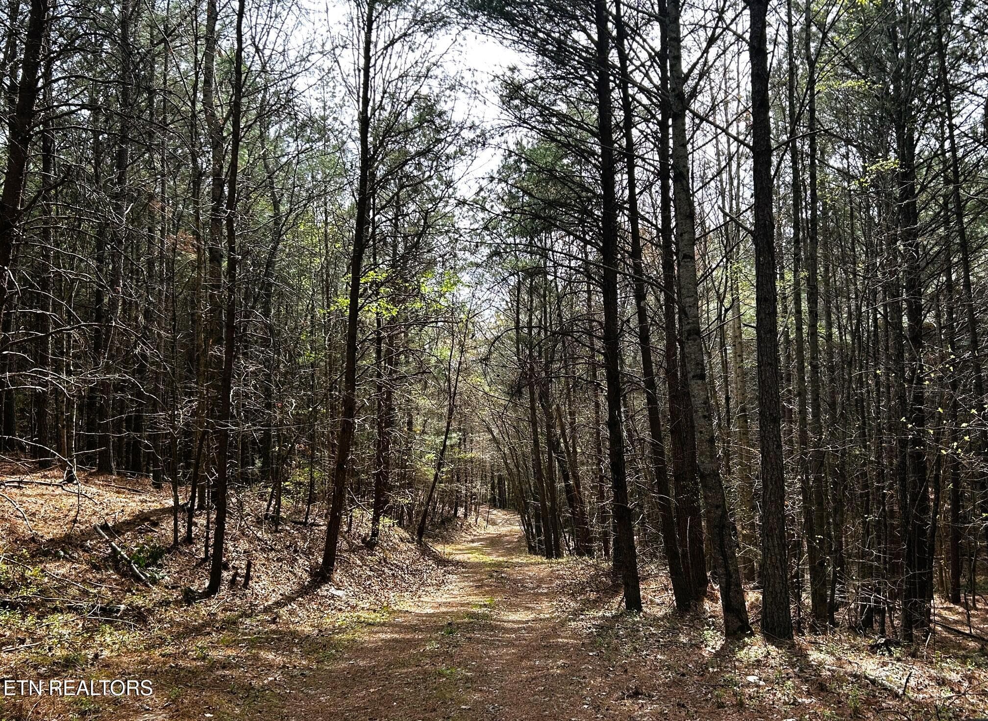 owl 7 drive - Tract 7 SW Owl Hollow, McDonald, TN 37353