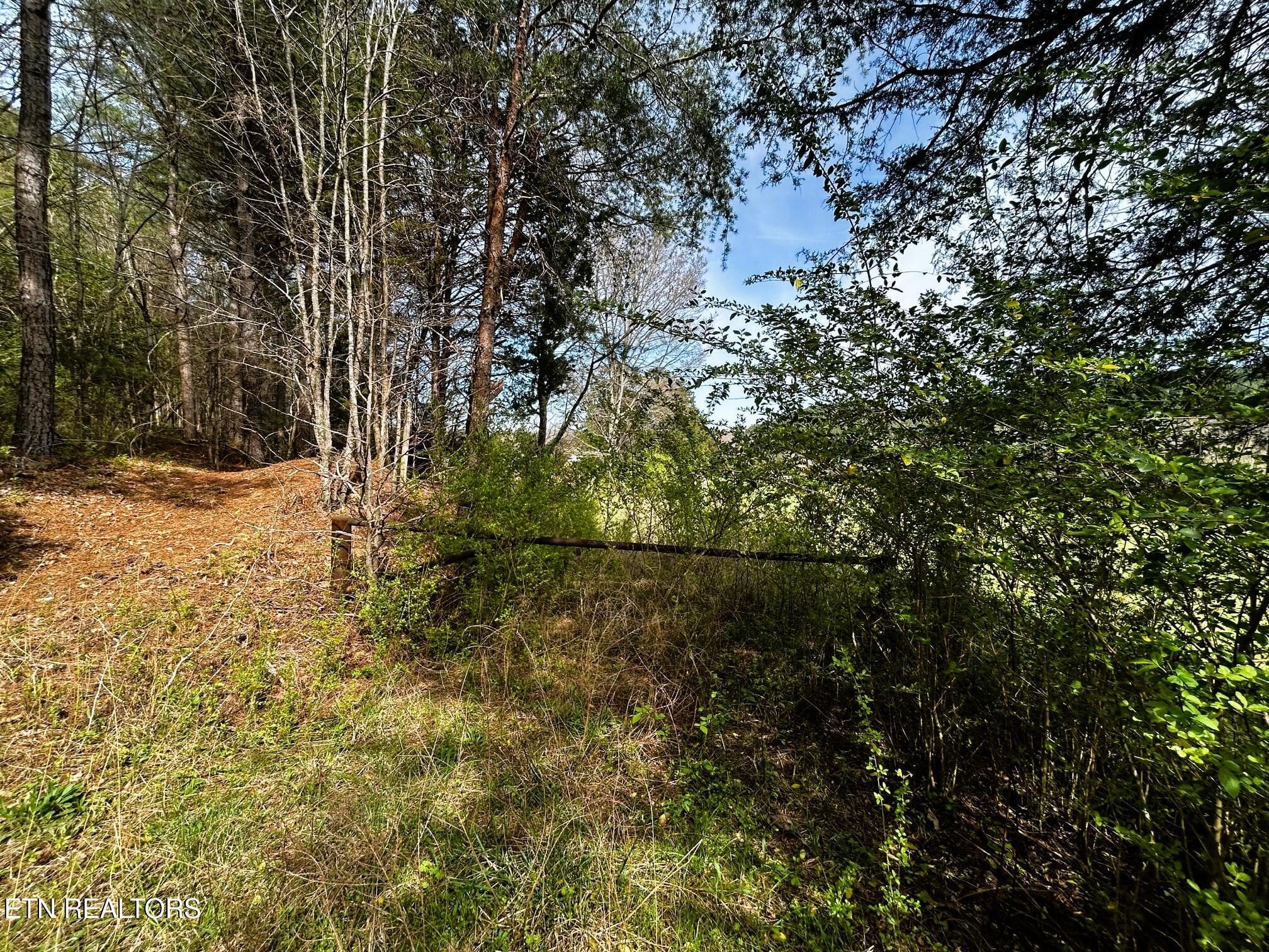 owl 7 easement off banther rd - Tract 7 SW Owl Hollow, McDonald, TN 37353