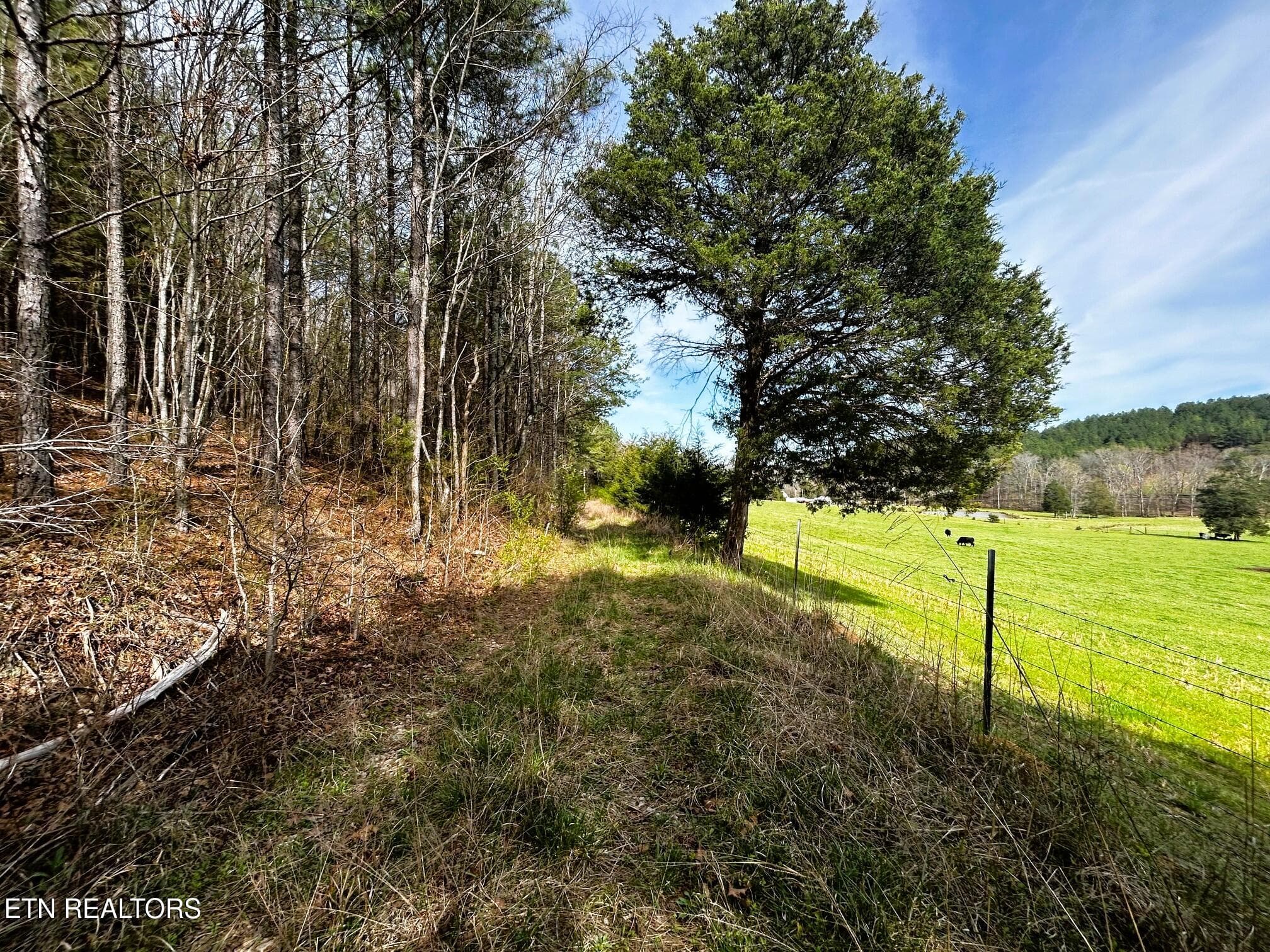 owl 7 easement on back utilities - Tract 7 SW Owl Hollow, McDonald, TN 37353