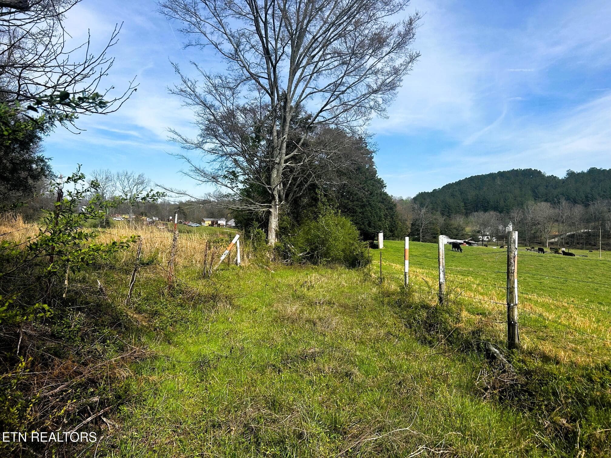 owl 7 easement utilities off Banther - Tract 7 SW Owl Hollow, McDonald, TN 37353