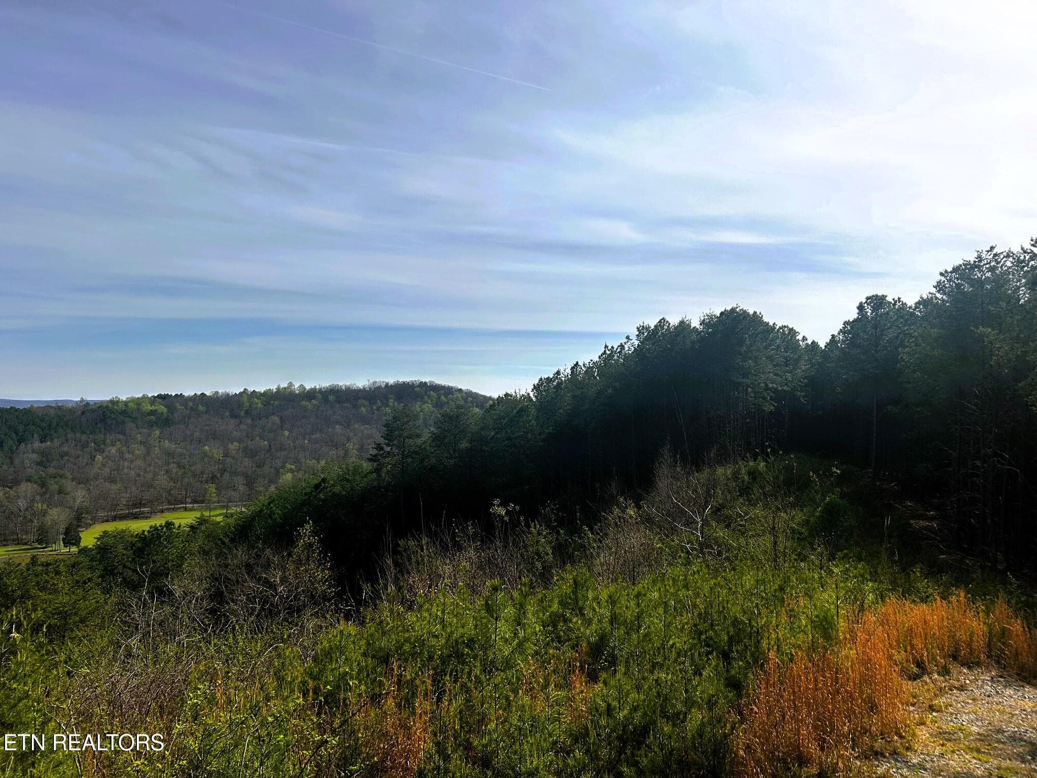 owl 7 top overview to Banther - Tract 7 SW Owl Hollow, McDonald, TN 37353