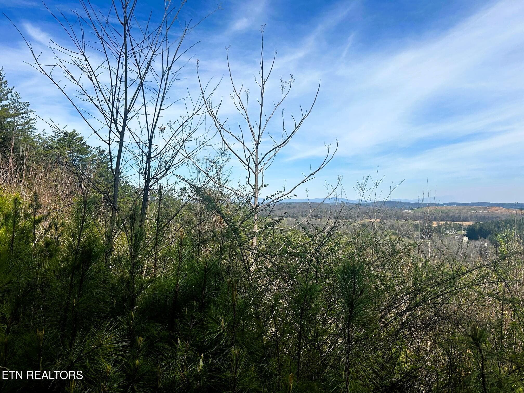 owl 7 top views 2 - Tract 7 SW Owl Hollow, McDonald, TN 37353