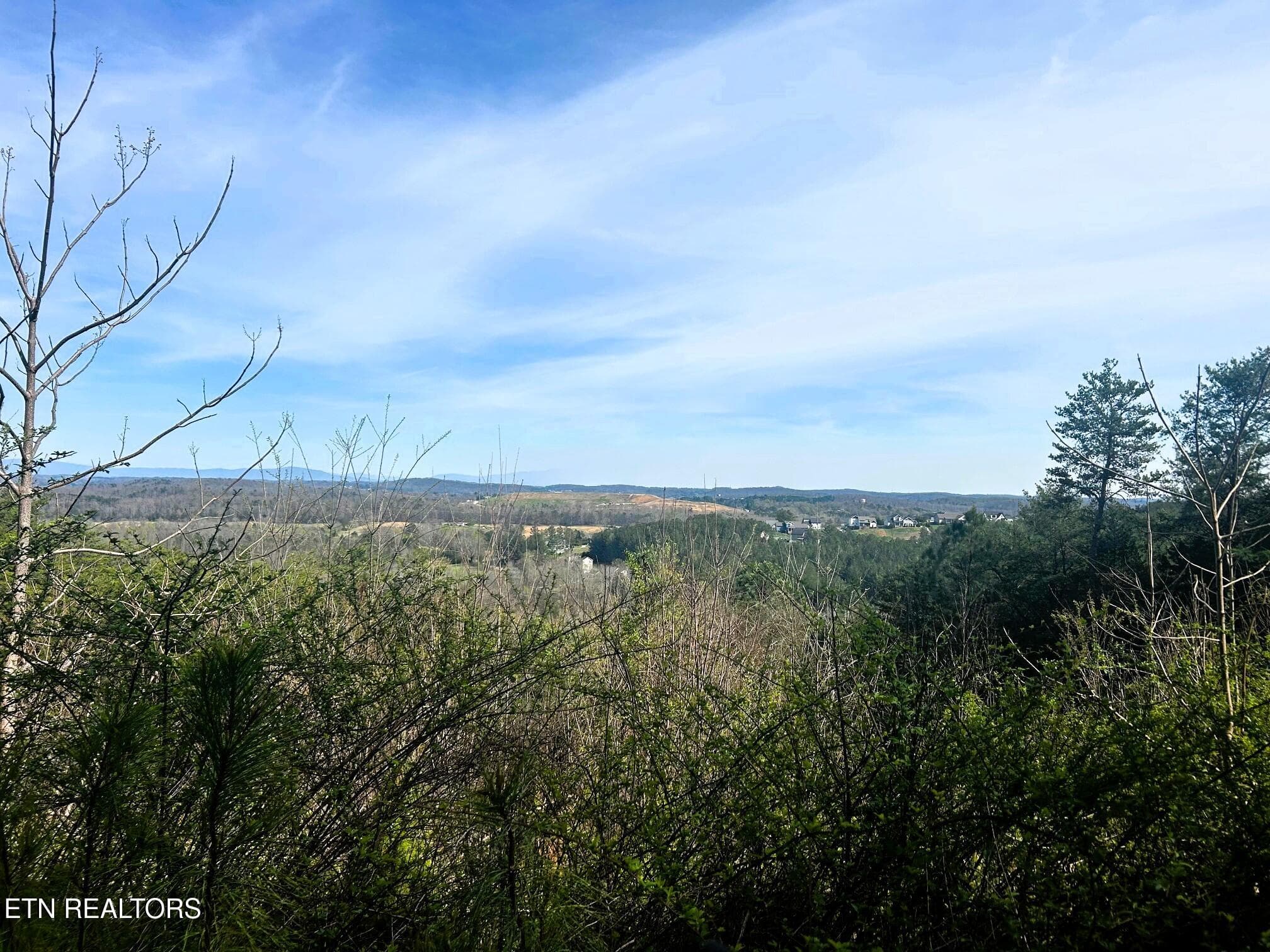owl 7 top views - Tract 7 SW Owl Hollow, McDonald, TN 37353