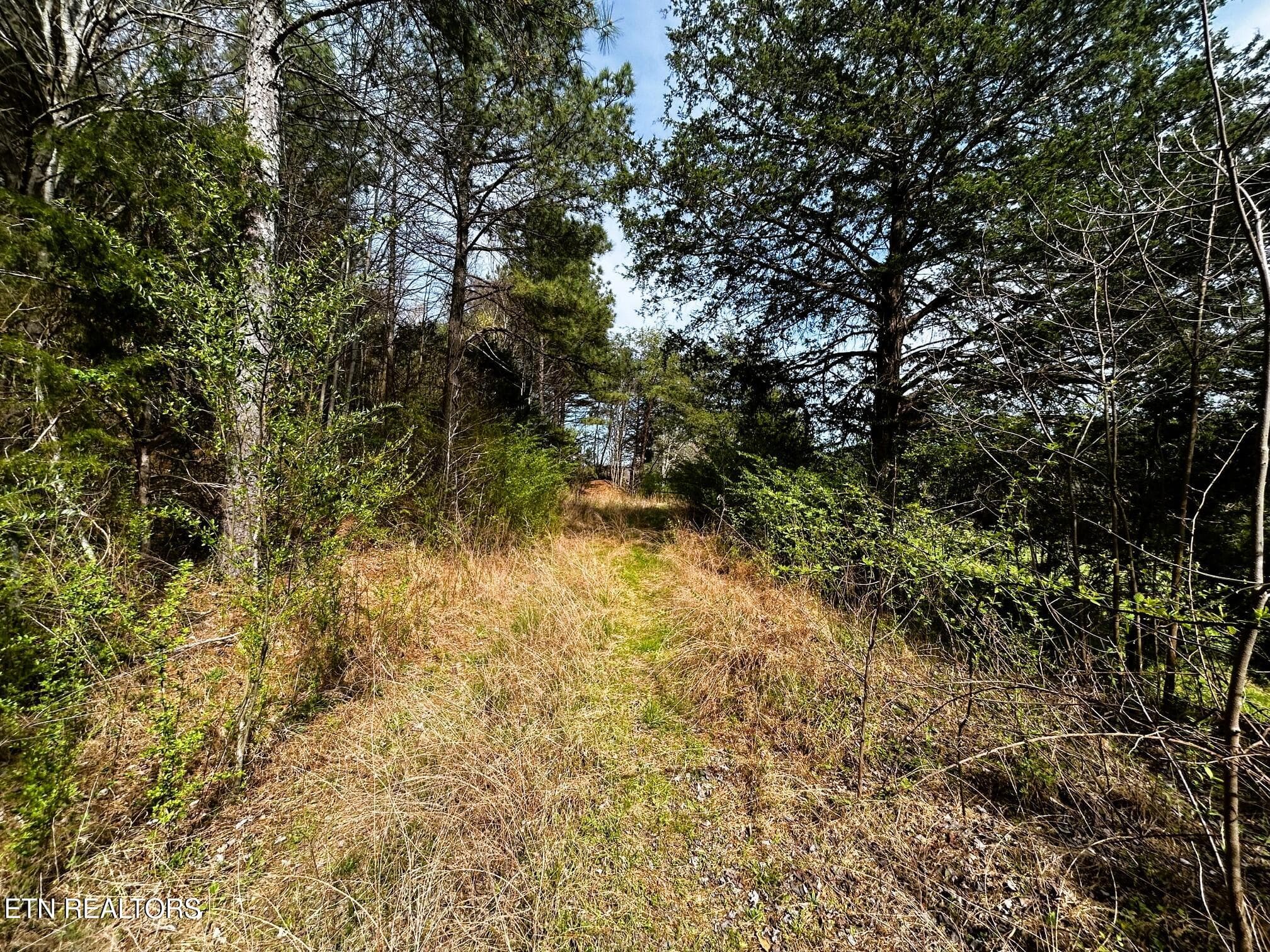 owl 7 utility easement off Banter - Tract 7 SW Owl Hollow, McDonald, TN 37353