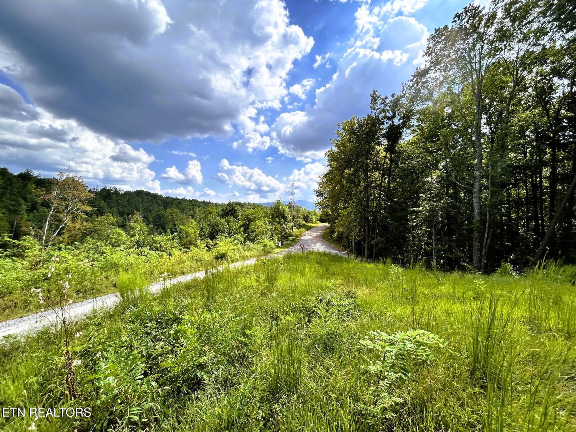 107 chestnut 3 - 107 Chestnut Mountain Rd, Reliance, TN 37369