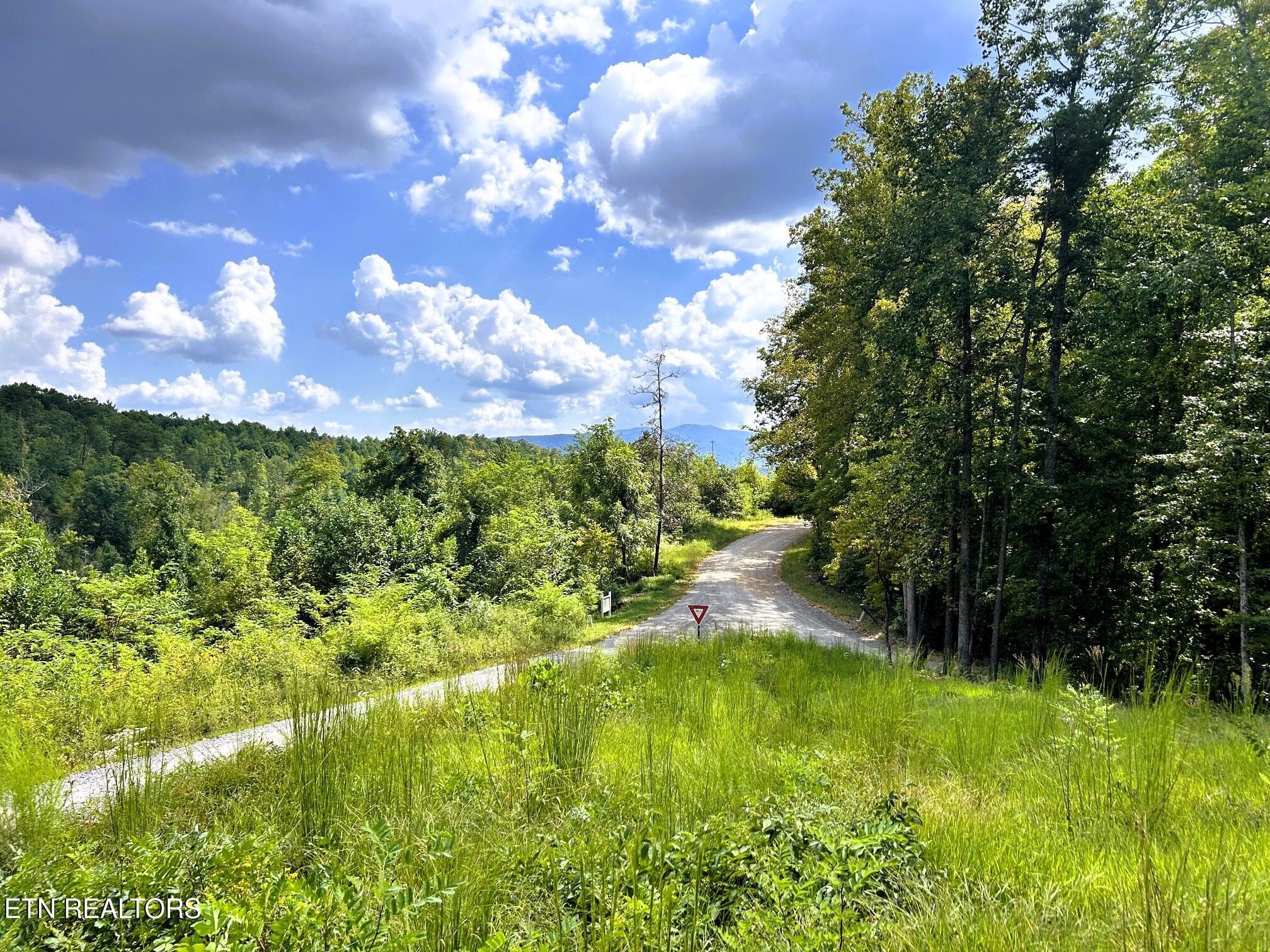 107 chestnut 4 main - 107 Chestnut Mountain Rd, Reliance, TN 37369