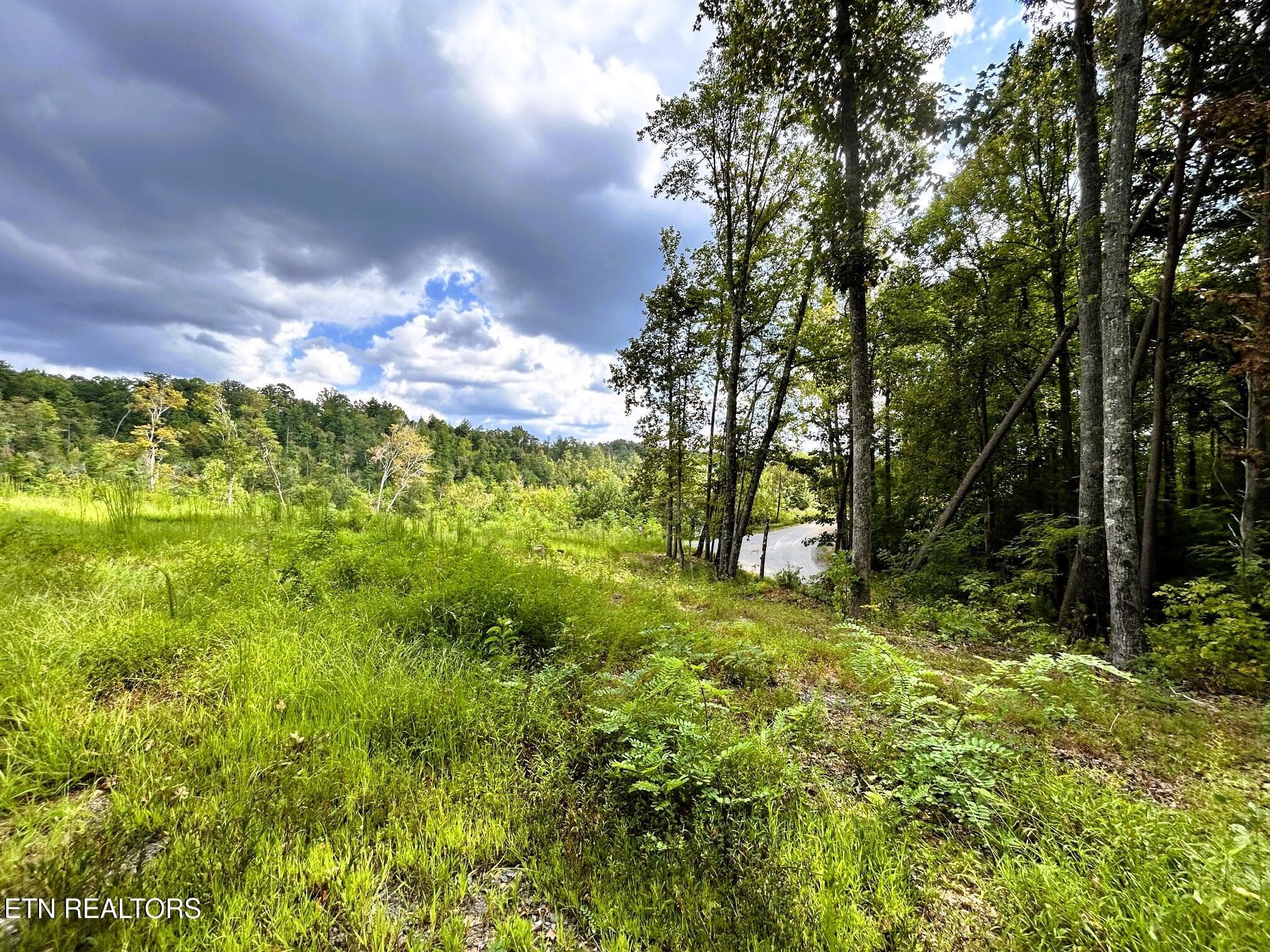 107 Chestnut 8 - 107 Chestnut Mountain Rd, Reliance, TN 37369