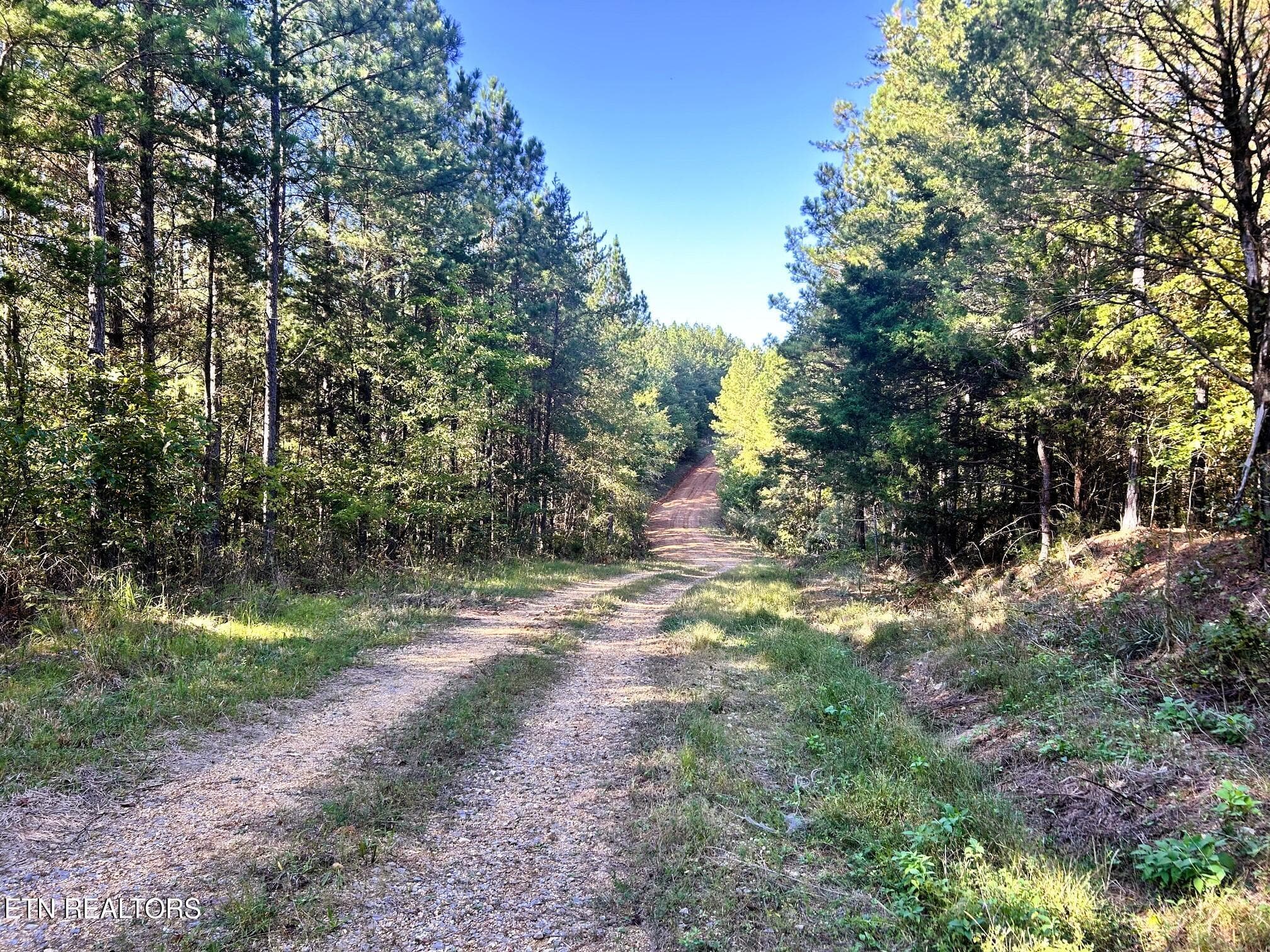47 acres Charles Rd, Decatur, TN 37322