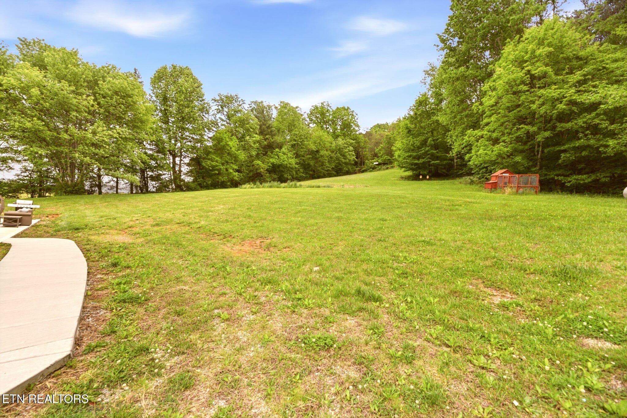 28-web-or-mls-DSC_5583 - 235 Raccoon Valley Rd, Maynardville, TN 37807