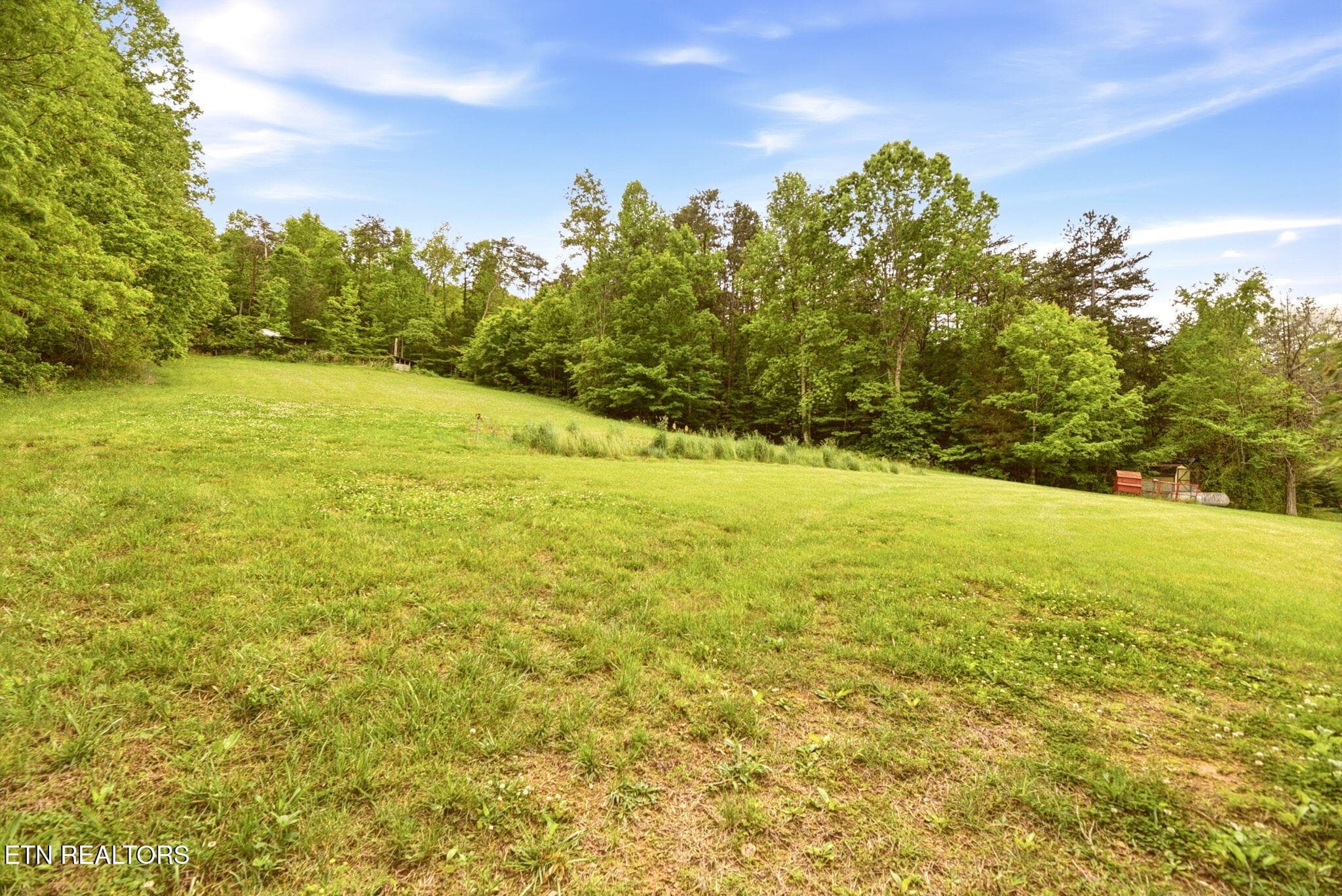 29-web-or-mls-DSC_5589 - 235 Raccoon Valley Rd, Maynardville, TN 37807