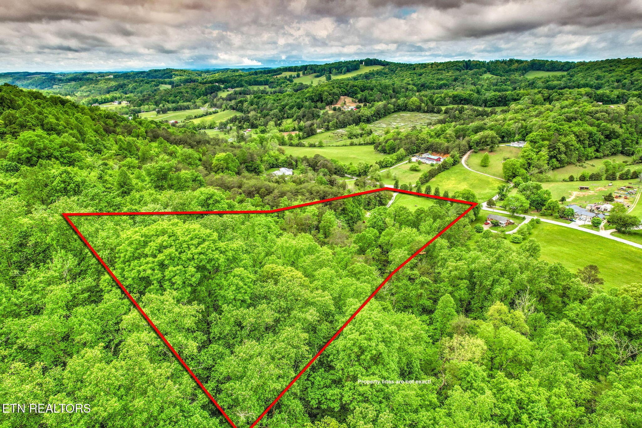 36-web-or-mls-DJI_0767_8_9-2 - 235 Raccoon Valley Rd, Maynardville, TN 37807