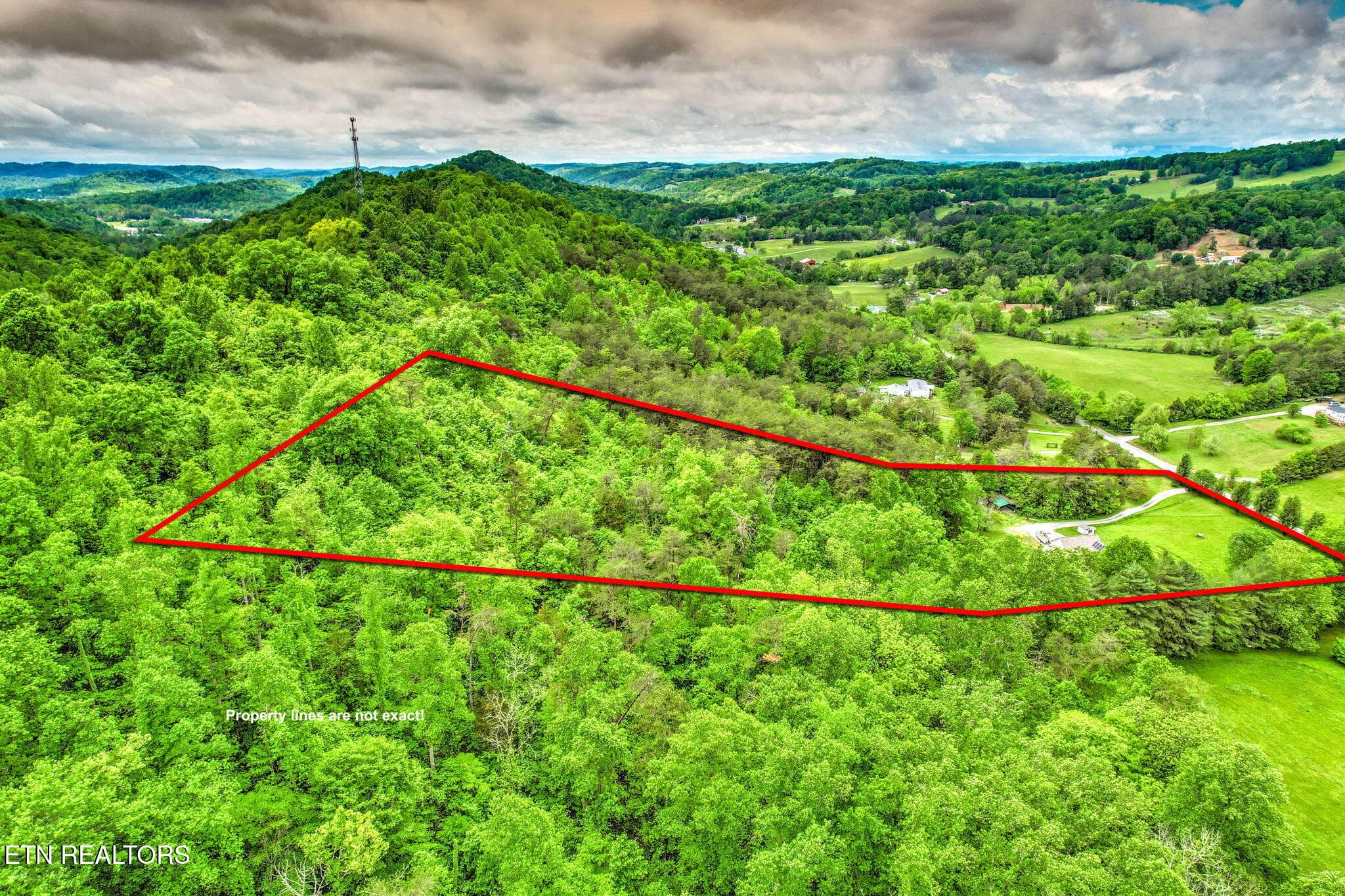 41-web-or-mls-DJI_0791_2_3-2 - 235 Raccoon Valley Rd, Maynardville, TN 37807