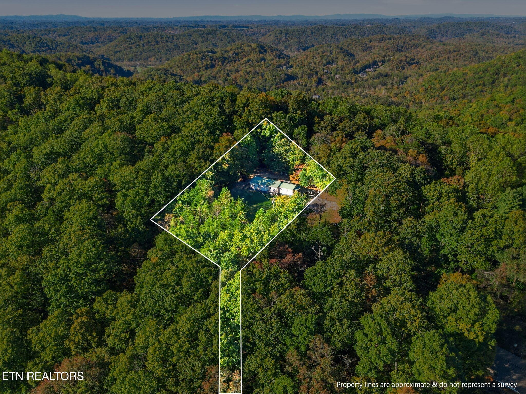 35-web-or-mls-DJI_0409-topaz_boundary - 8928 Ellis Lane, Powell, TN 37849