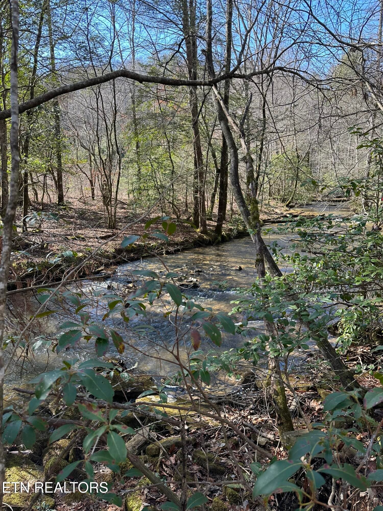 IMG_0202 - 247 Copperhead Rd, Oakdale, TN 37829