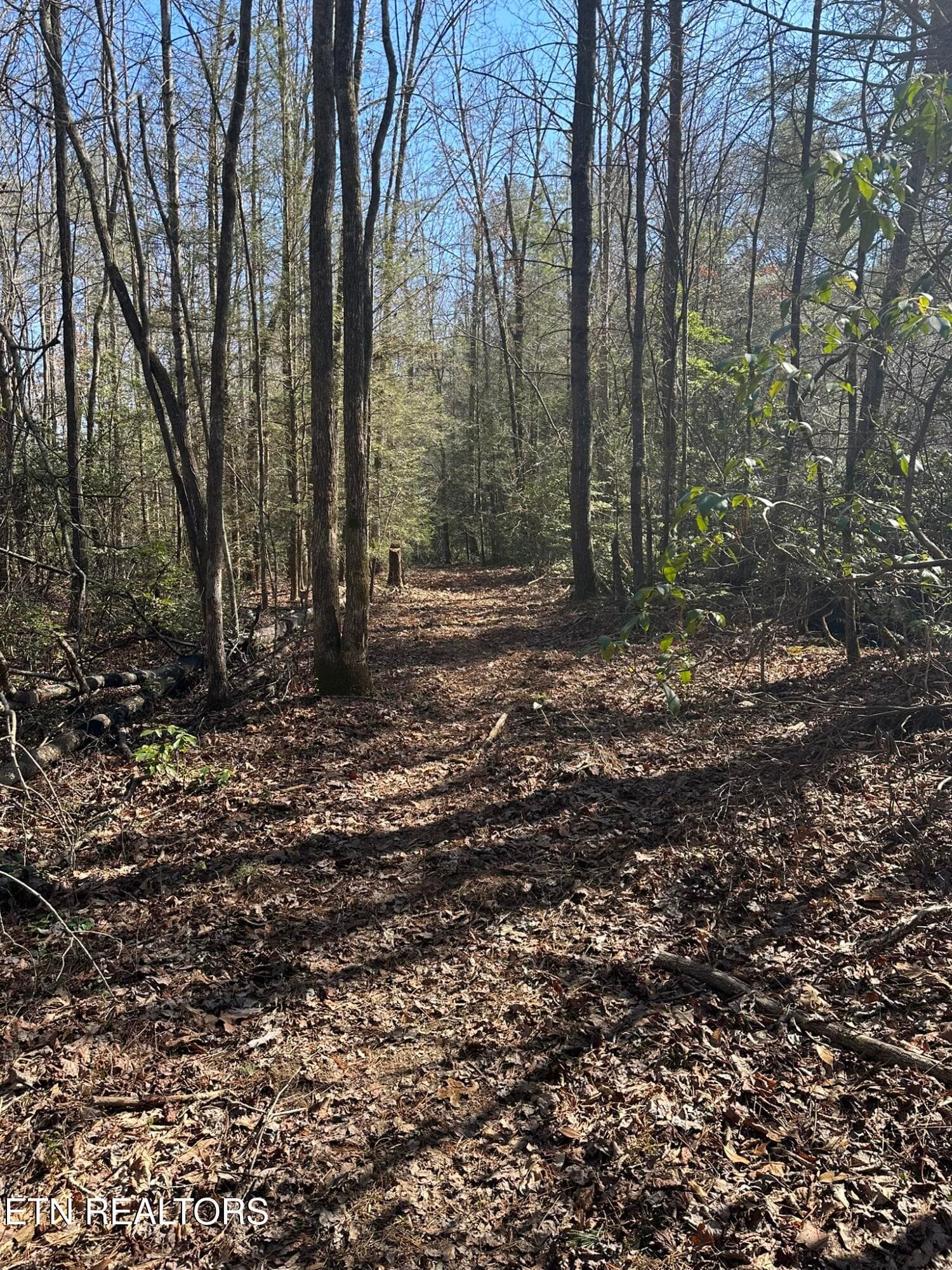 IMG_0468 - 247 Copperhead Rd, Oakdale, TN 37829