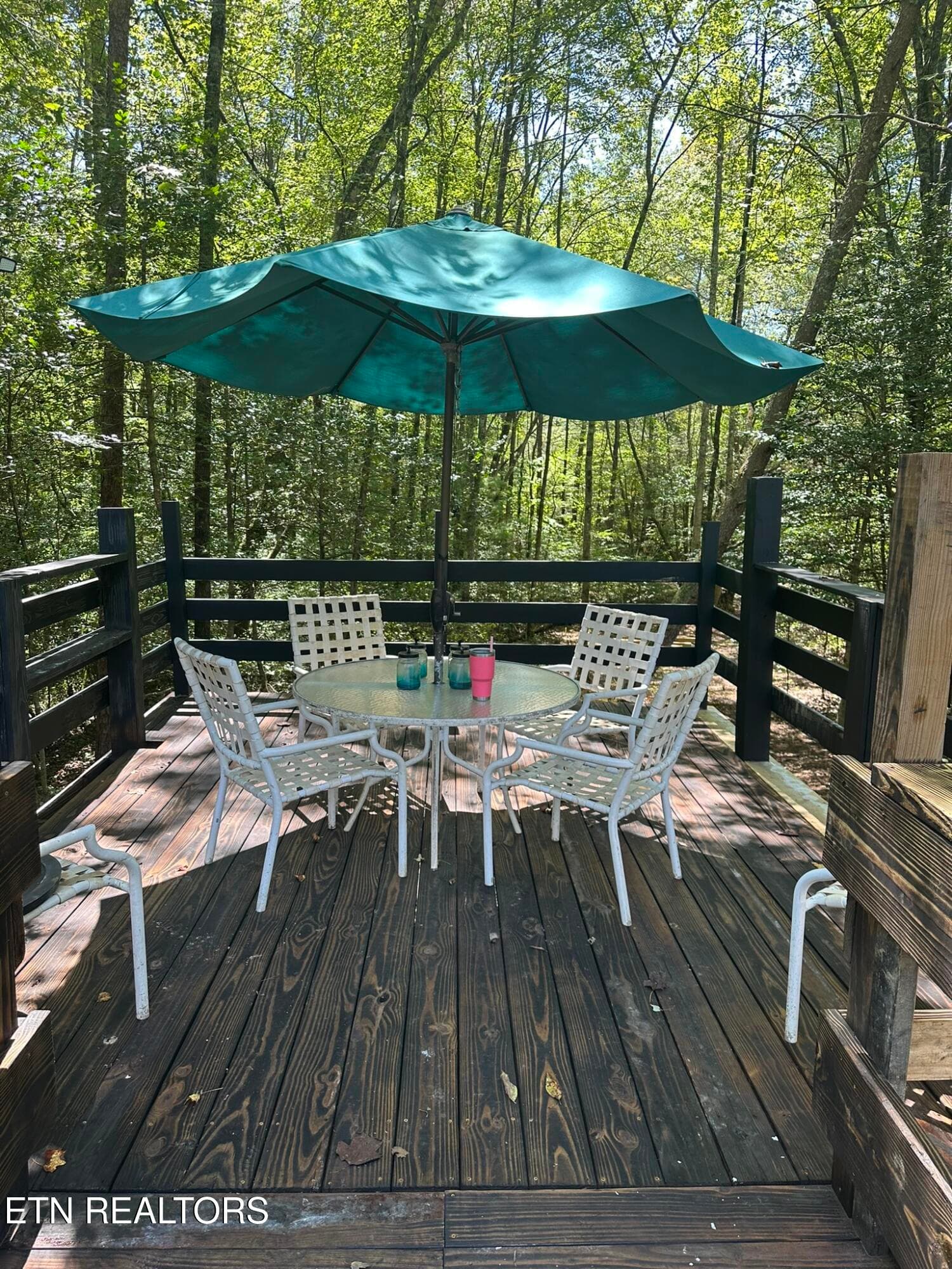 IMG_4128 - 247 Copperhead Rd, Oakdale, TN 37829