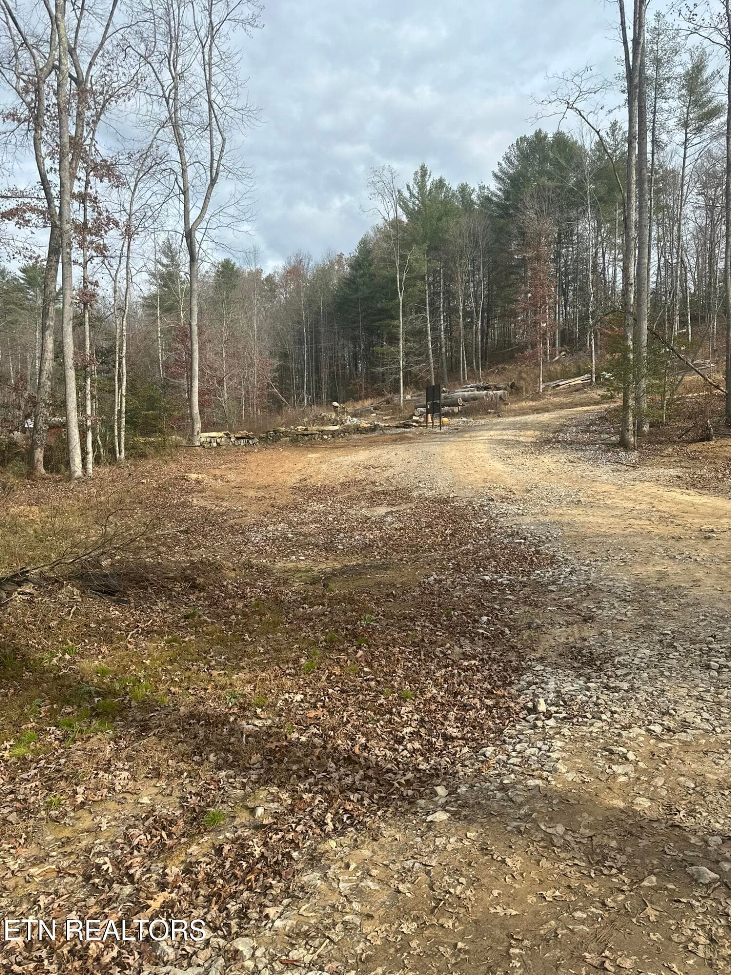 IMG_5047 - 247 Copperhead Rd, Oakdale, TN 37829