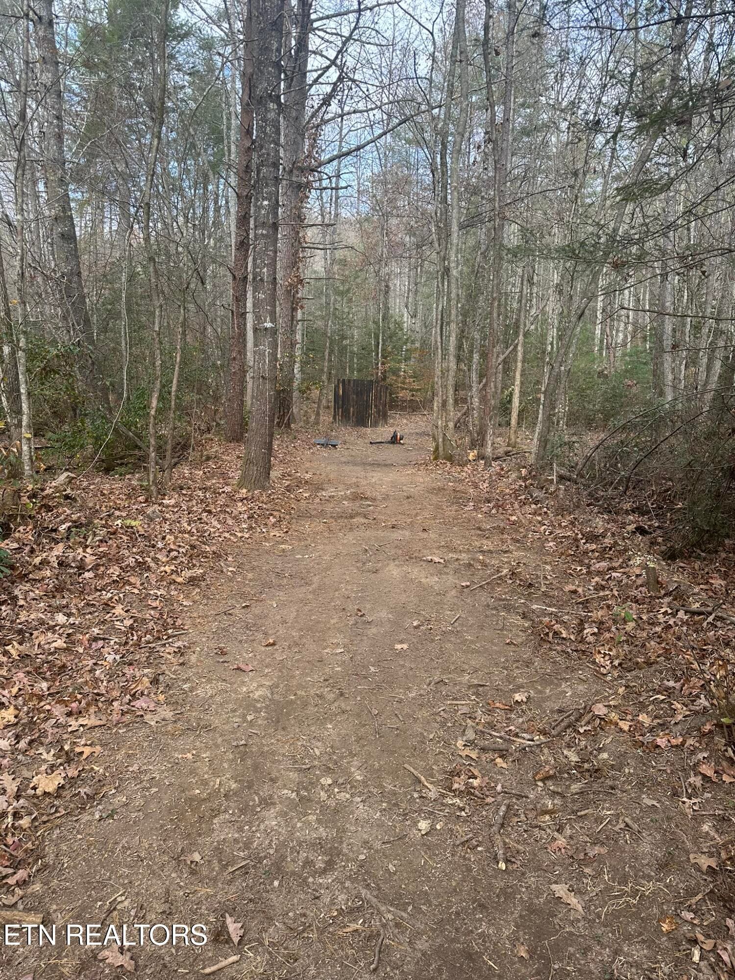 IMG_5054 - 247 Copperhead Rd, Oakdale, TN 37829