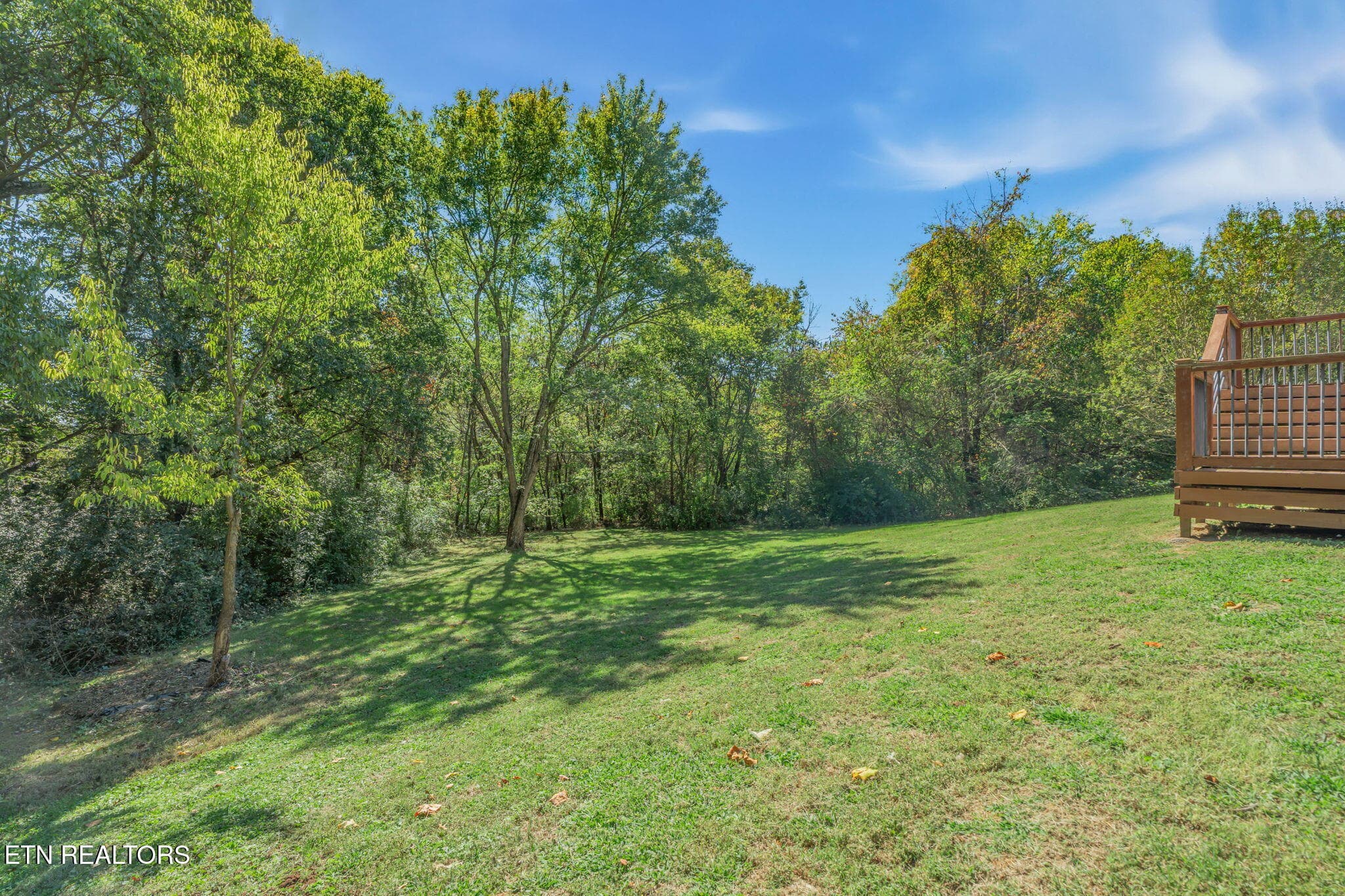 Backyard #2 - 8128 Heiskell Rd, Powell, TN 37849
