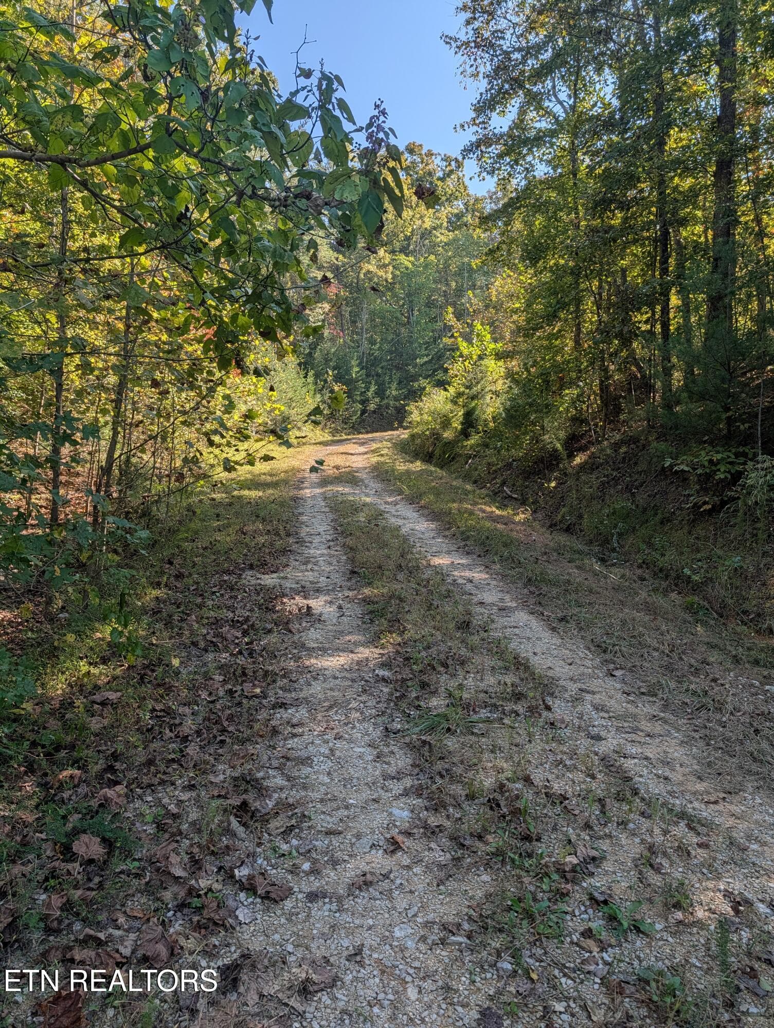 Driveway Entrance - 130 Abels Valley Rd, Rockwood, TN 37854