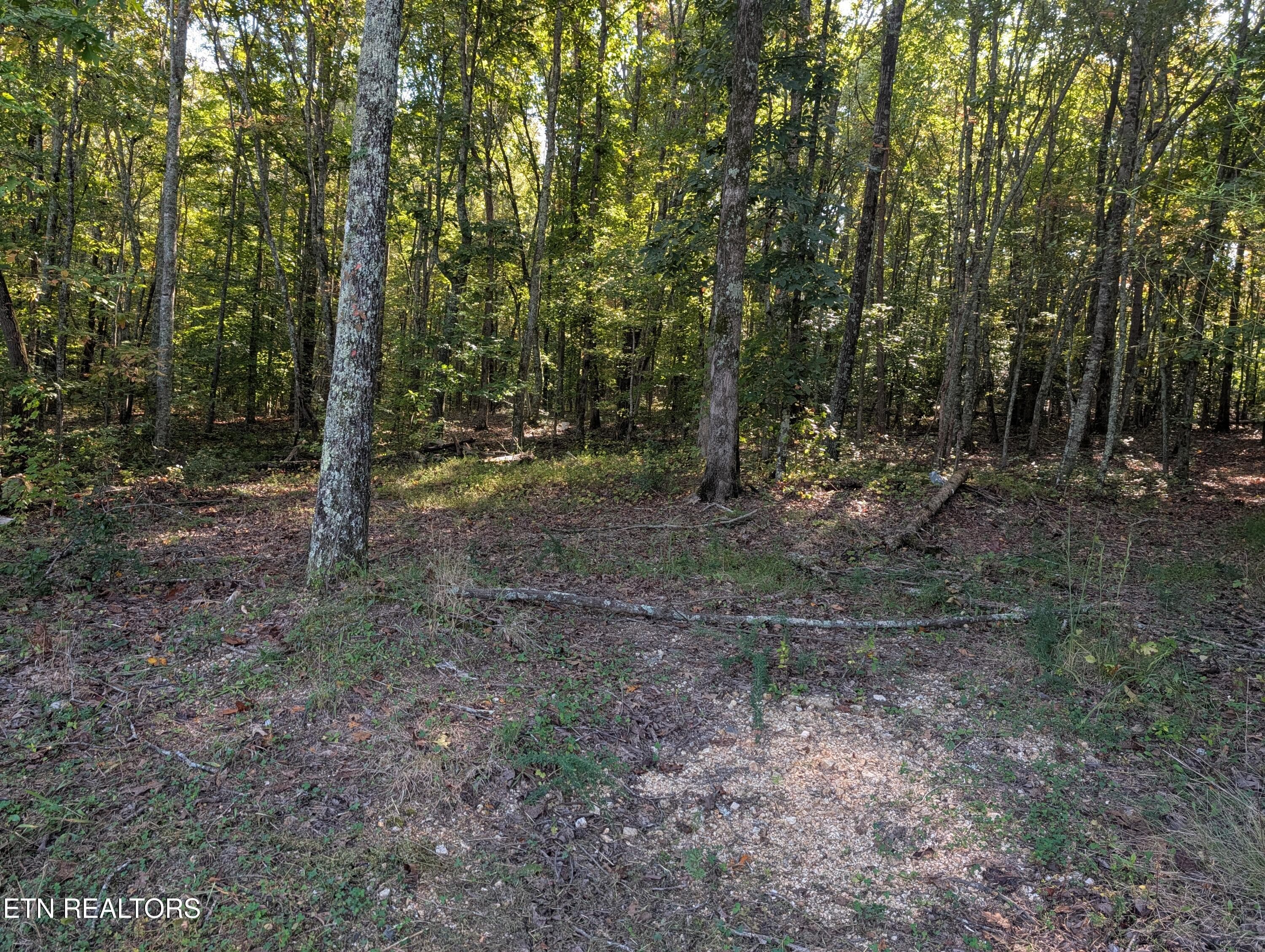 5.2 Acres - 130 Abels Valley Rd, Rockwood, TN 37854