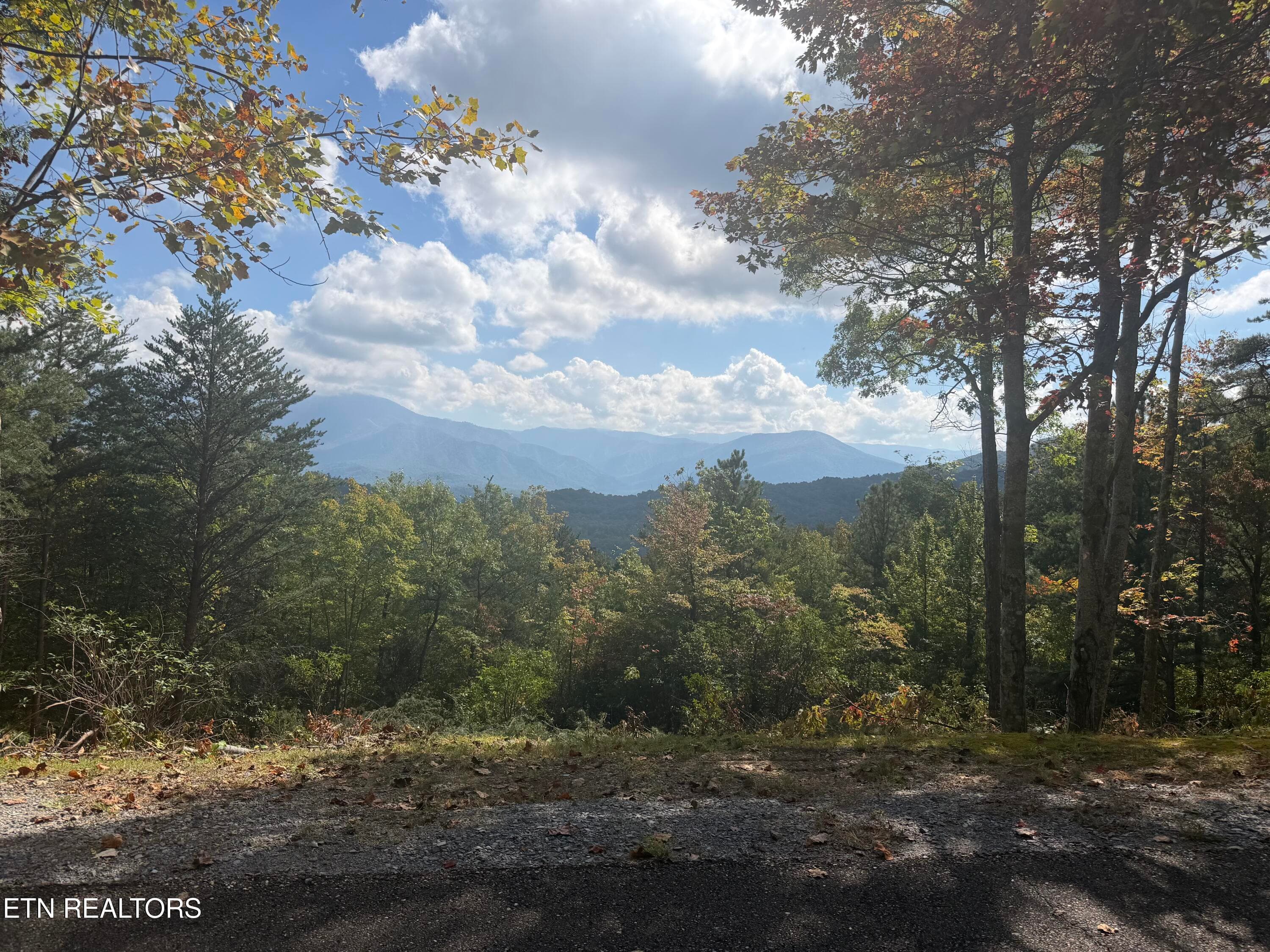 IMG_0639 - Laurel Top Way, Sevierville, TN 37862