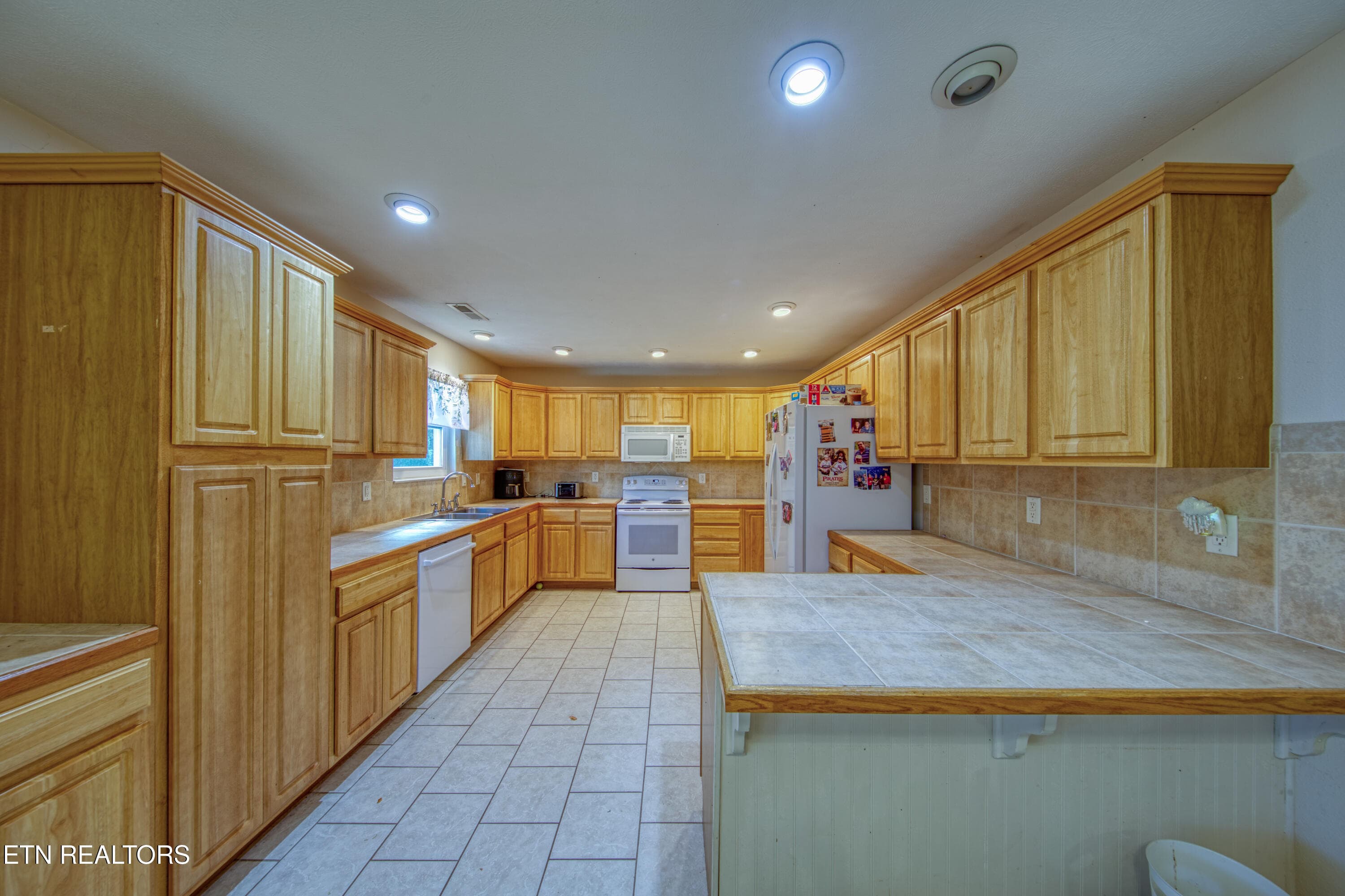 0H3A8255_70 - 1733 Oakdale Drive, Dandridge, TN 37725