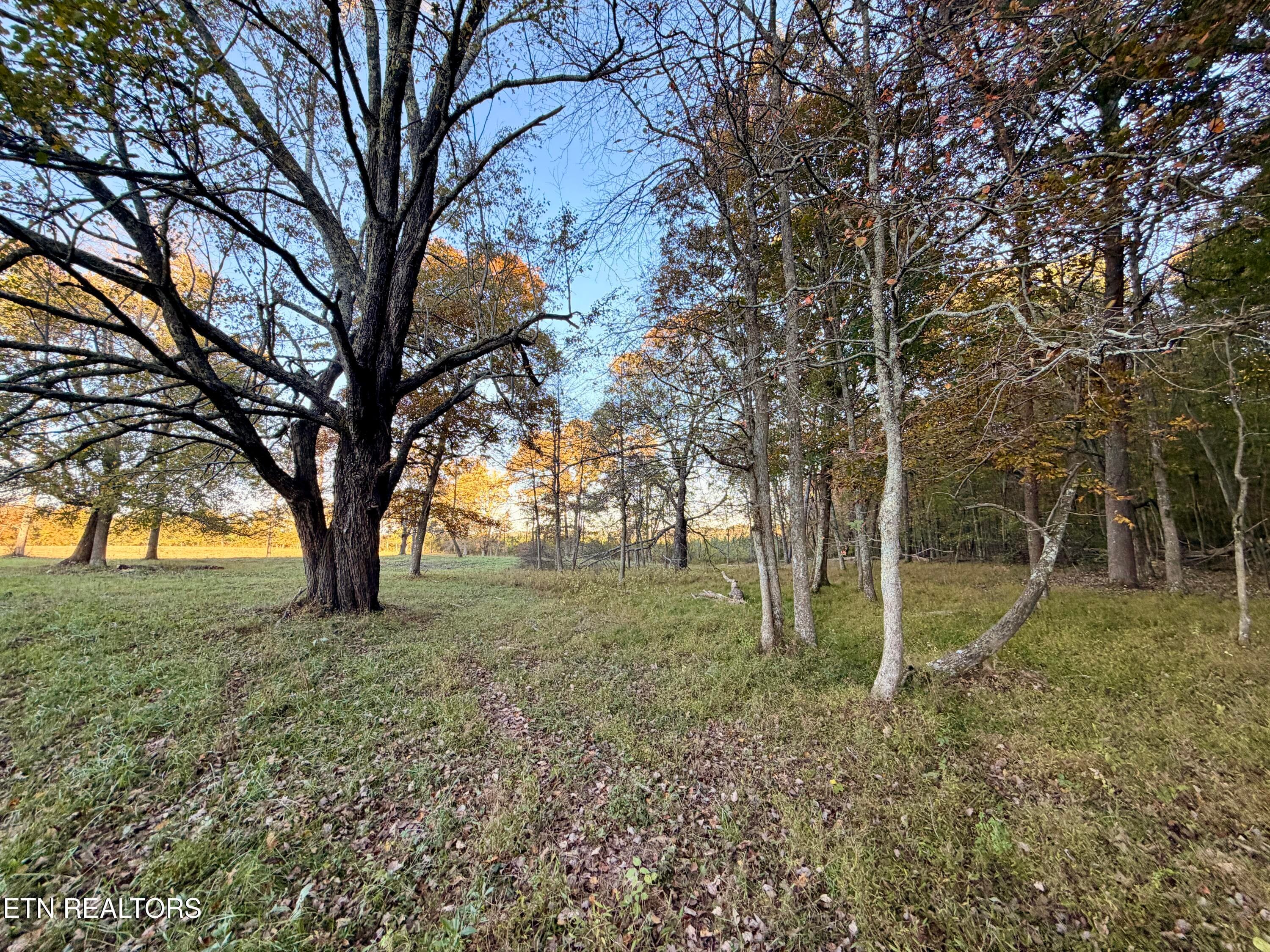 11 - Poke Patch Rd, Crossville, TN 38572