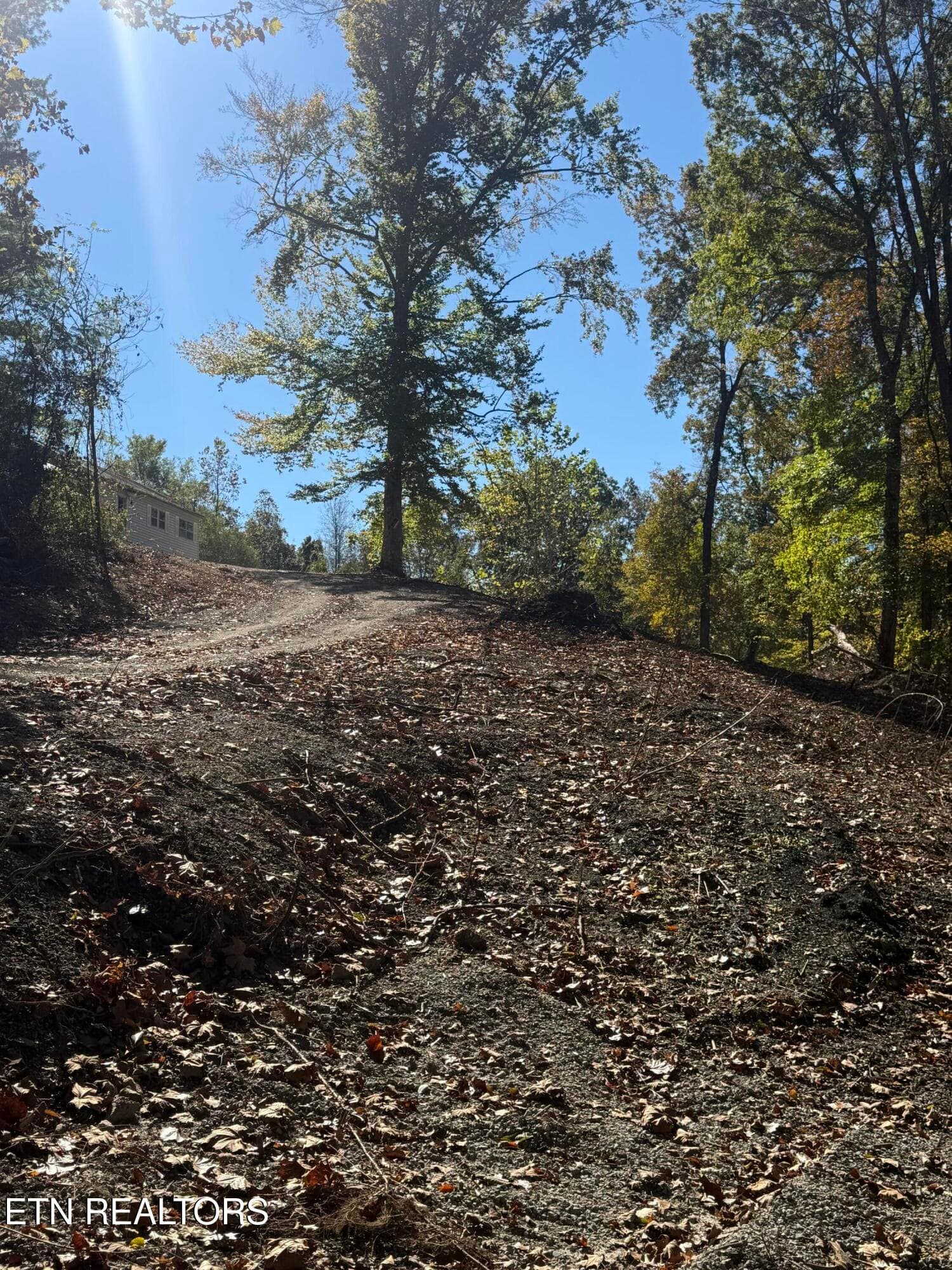 IMG_2372 - 189 Irwin Salyers Lane, LaFollette, TN 37766