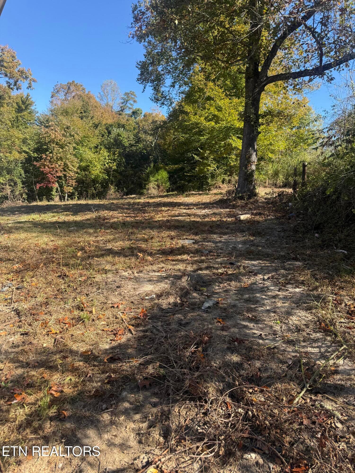 IMG_2348 - 189 Irwin Salyers Lane, LaFollette, TN 37766