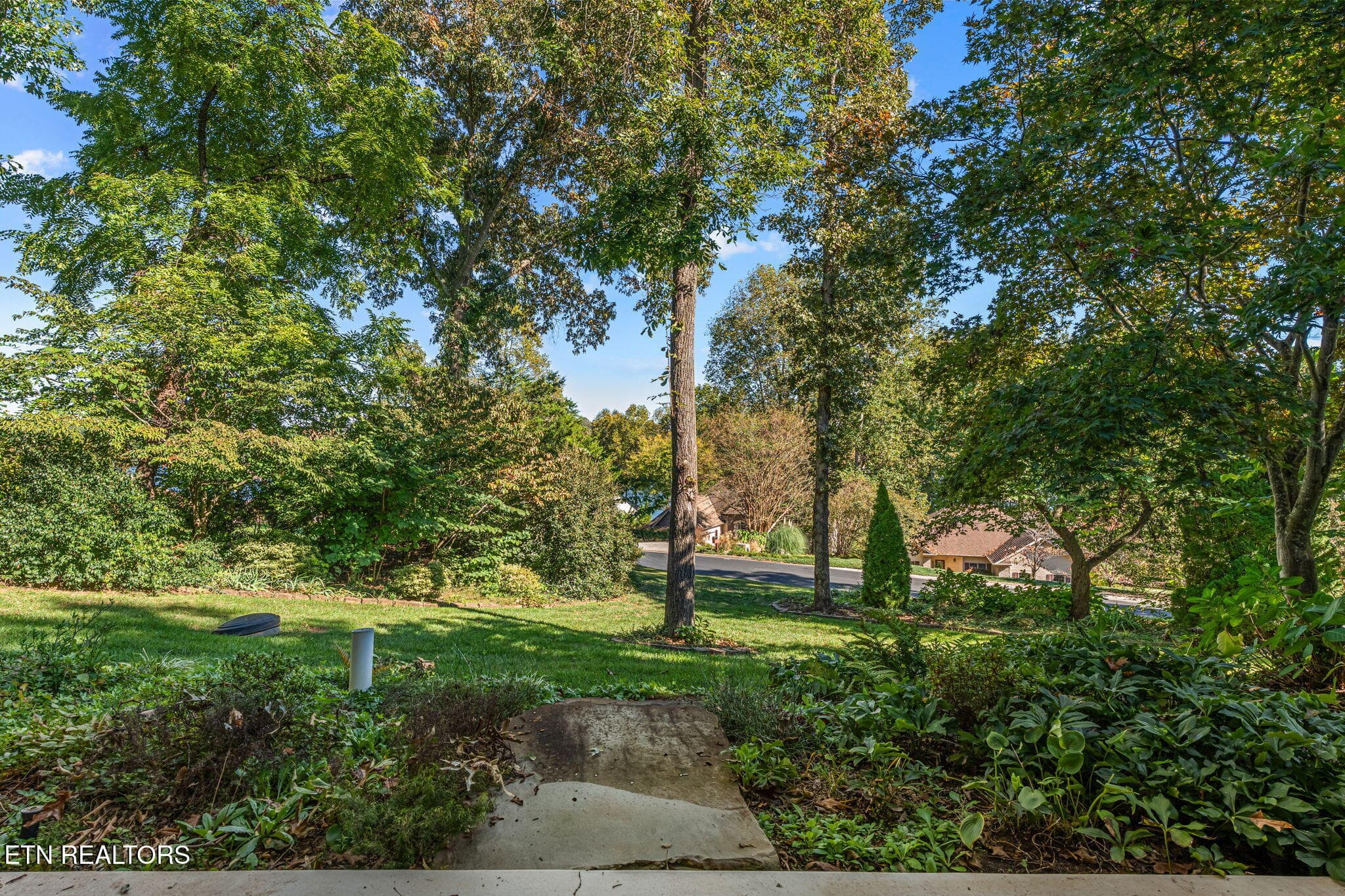 Backyard - 404 Catoosa Lane, Loudon, TN 37774