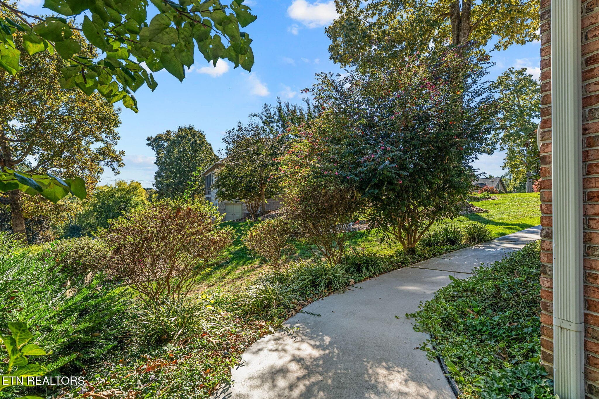 Backyard - 404 Catoosa Lane, Loudon, TN 37774