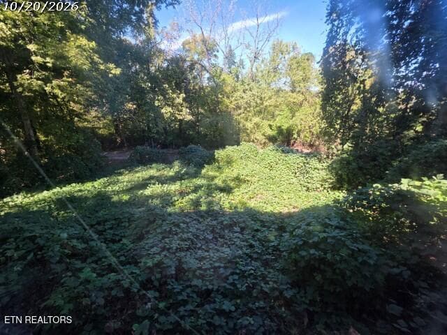 Back Yard - 520 Burns Rd, Knoxville, TN 37914