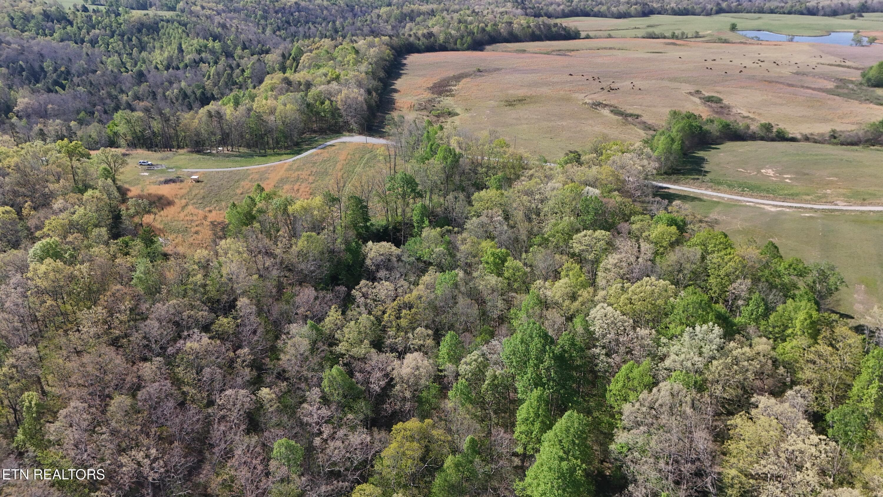 Clarkrange TN -- 4 - 7.08ac Hollow Creek Lane, Clarkrange, TN 38553