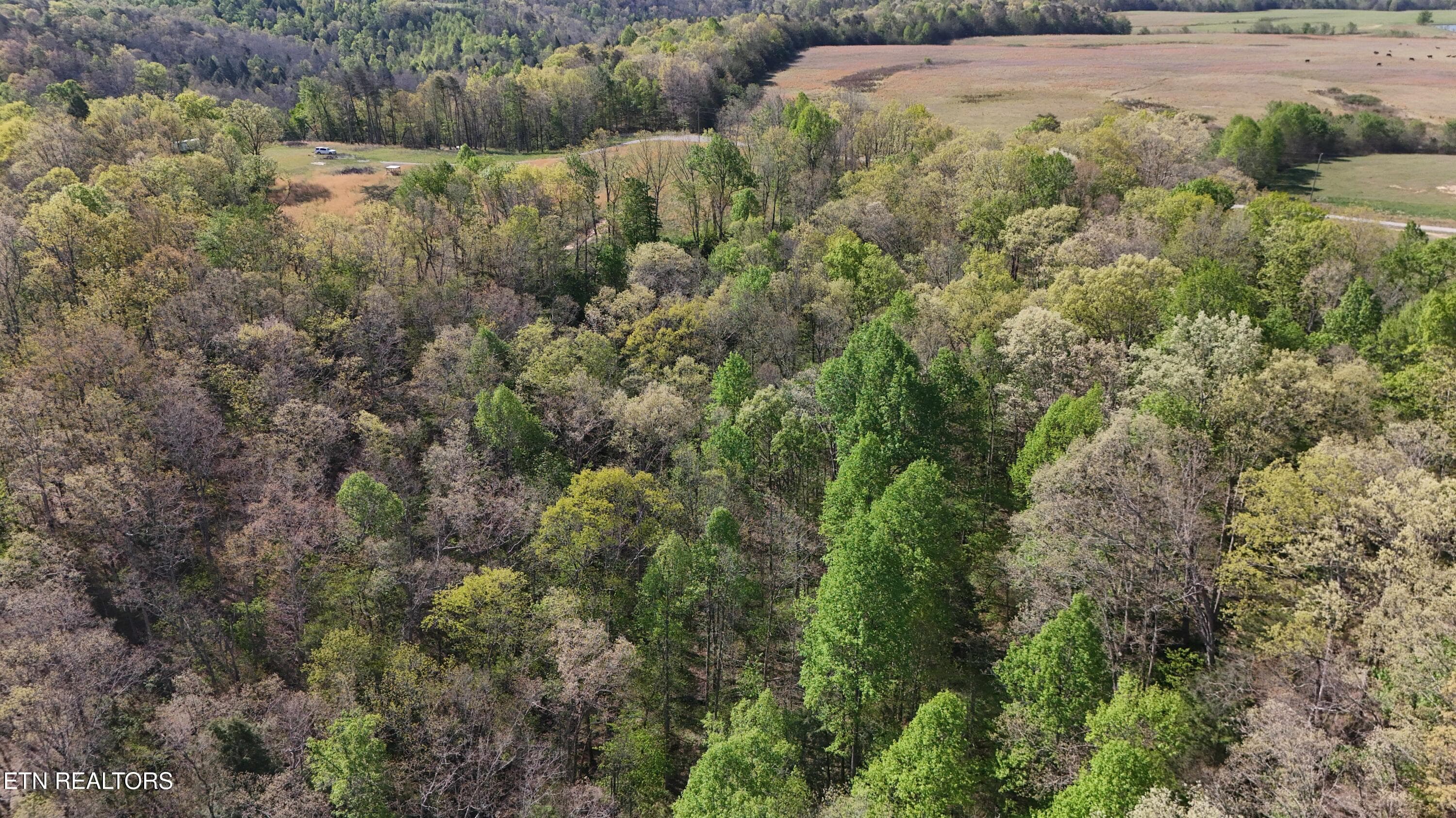 Clarkrange TN -- 7 - 7.08ac Hollow Creek Lane, Clarkrange, TN 38553