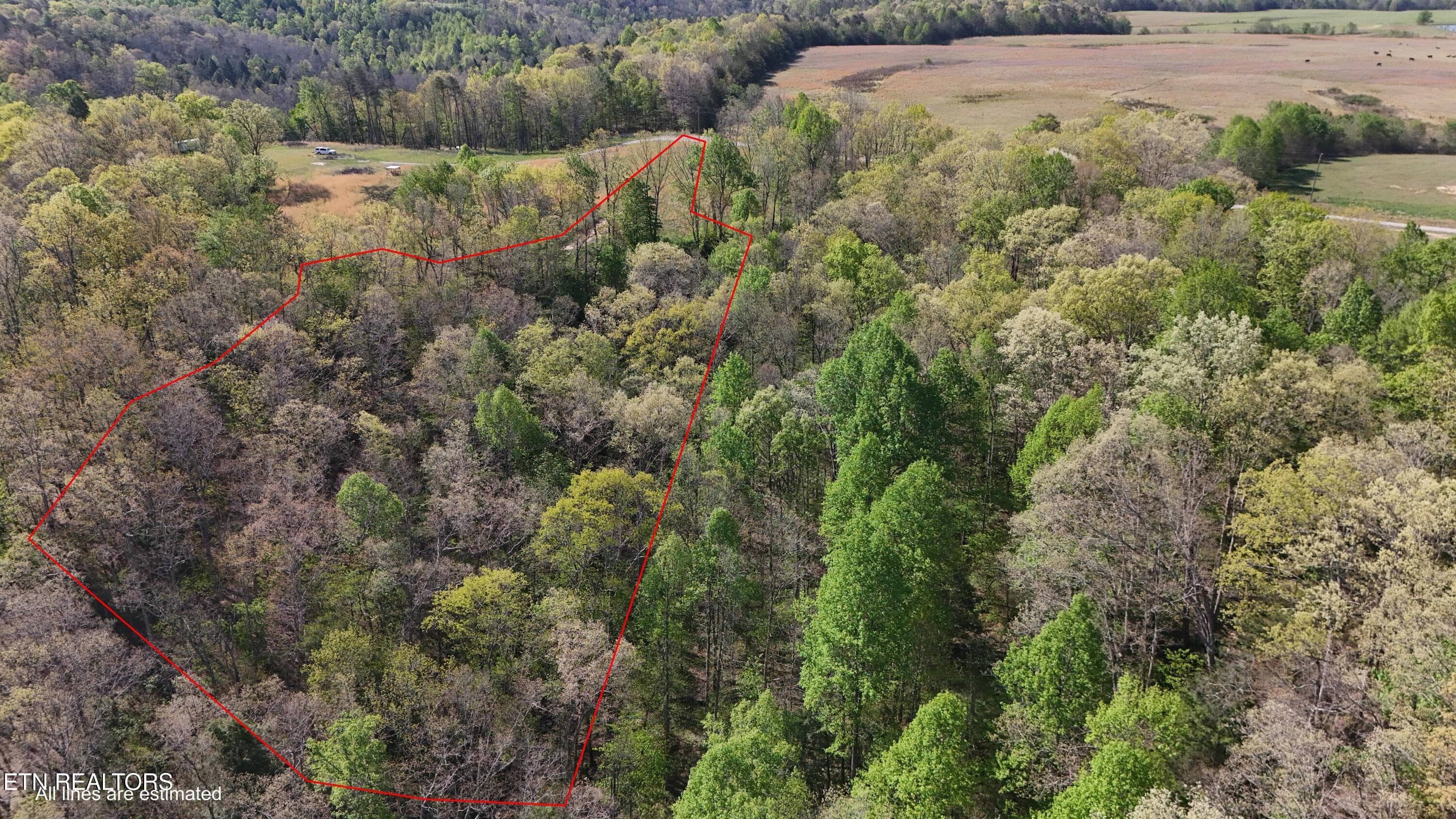 Property Lines 2 - 7.08ac Hollow Creek Lane, Clarkrange, TN 38553